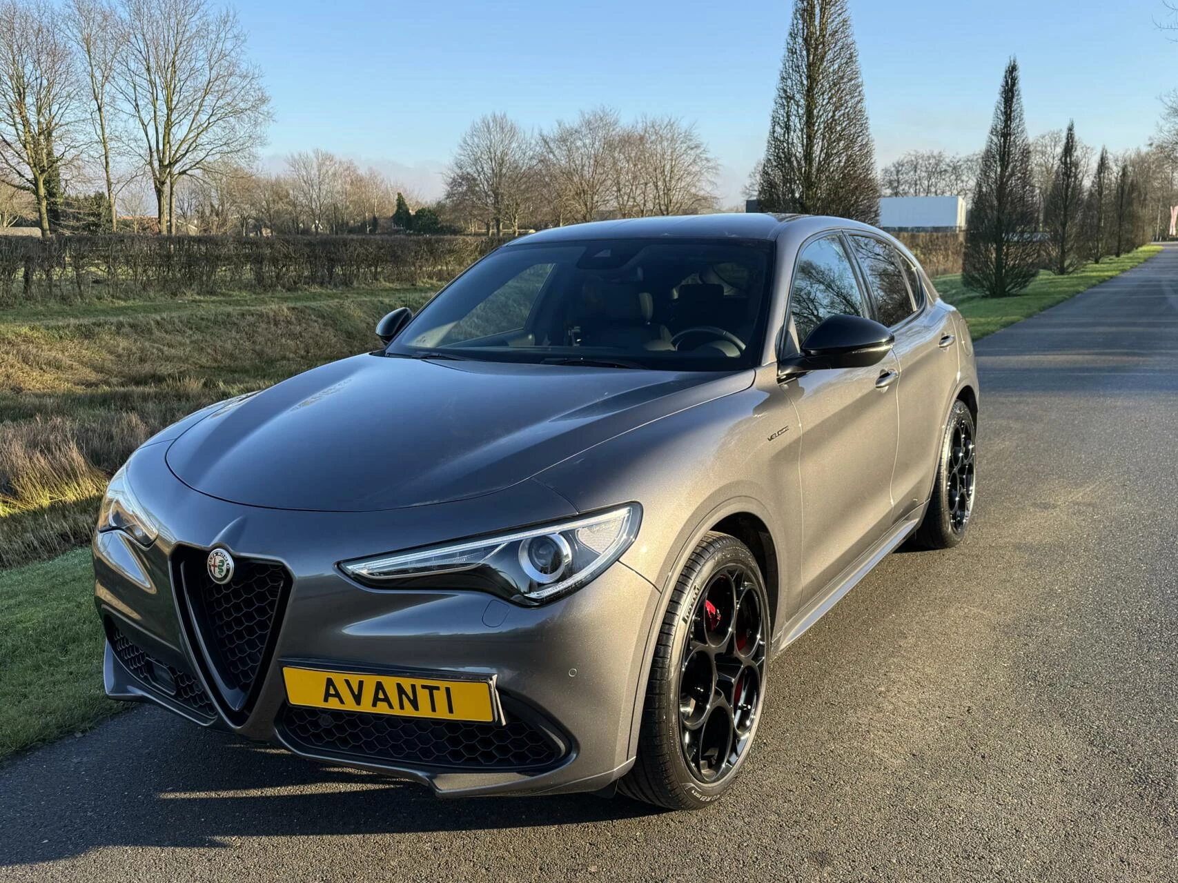 Hoofdafbeelding Alfa Romeo Stelvio