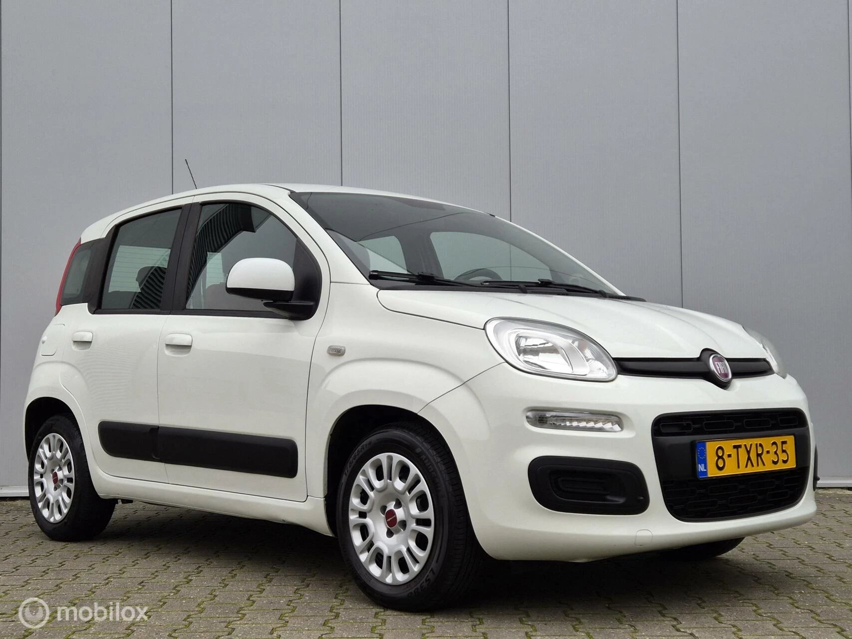 Hoofdafbeelding Fiat Panda