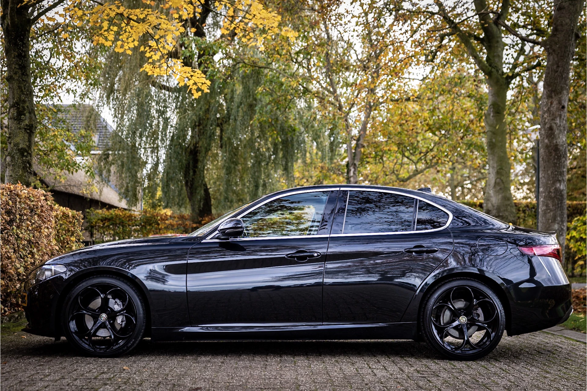 Hoofdafbeelding Alfa Romeo Giulia