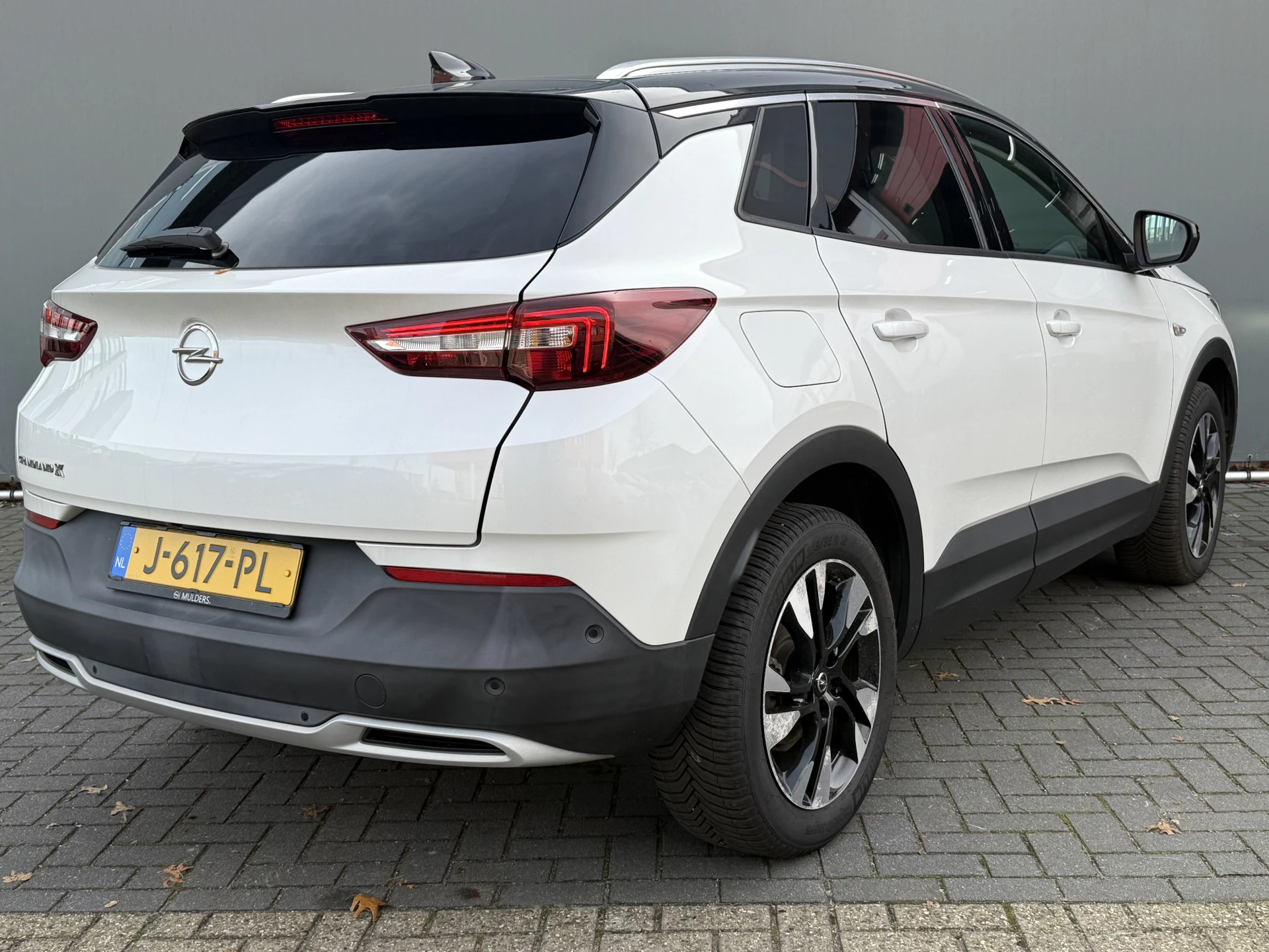Hoofdafbeelding Opel Grandland X