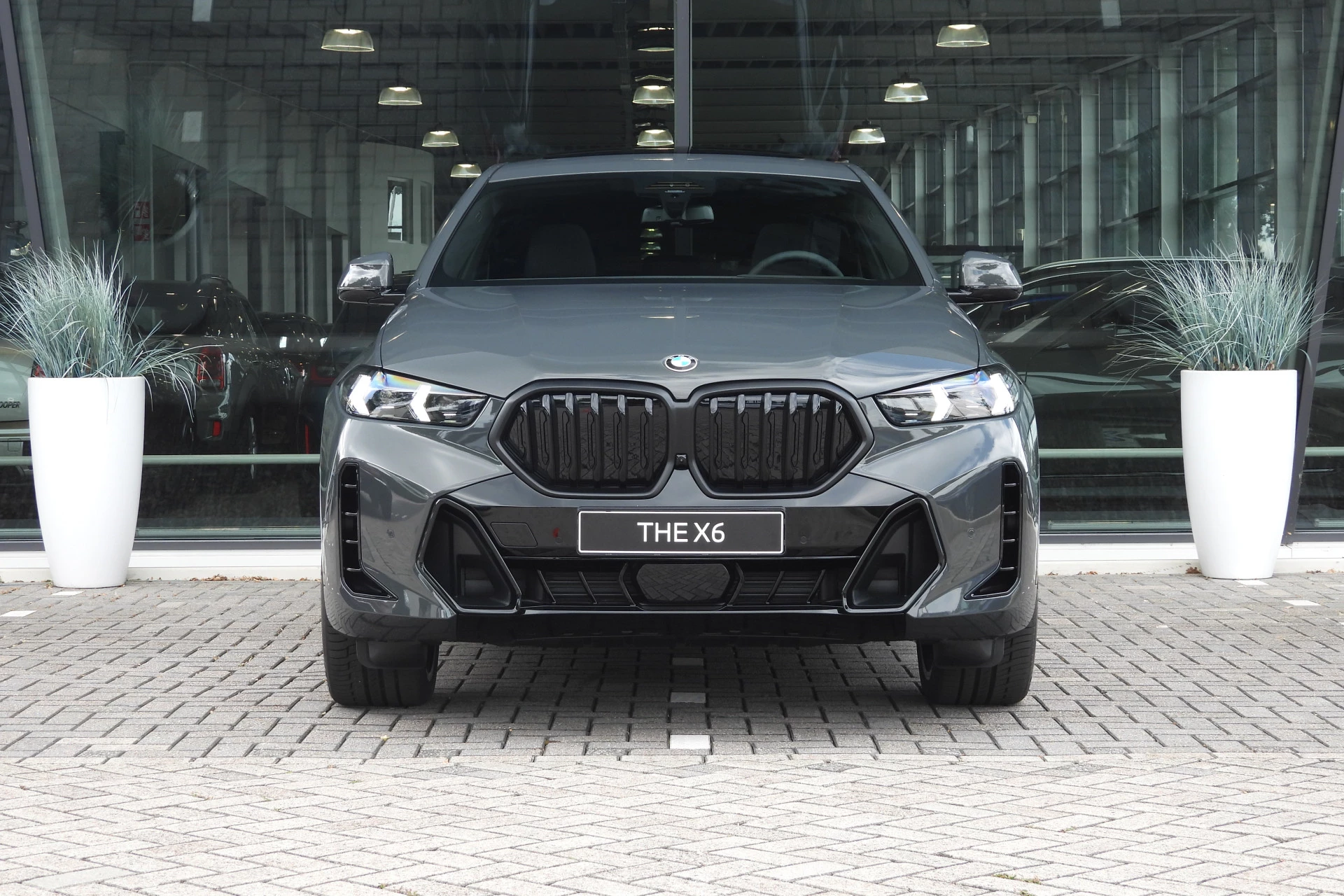 Hoofdafbeelding BMW X6