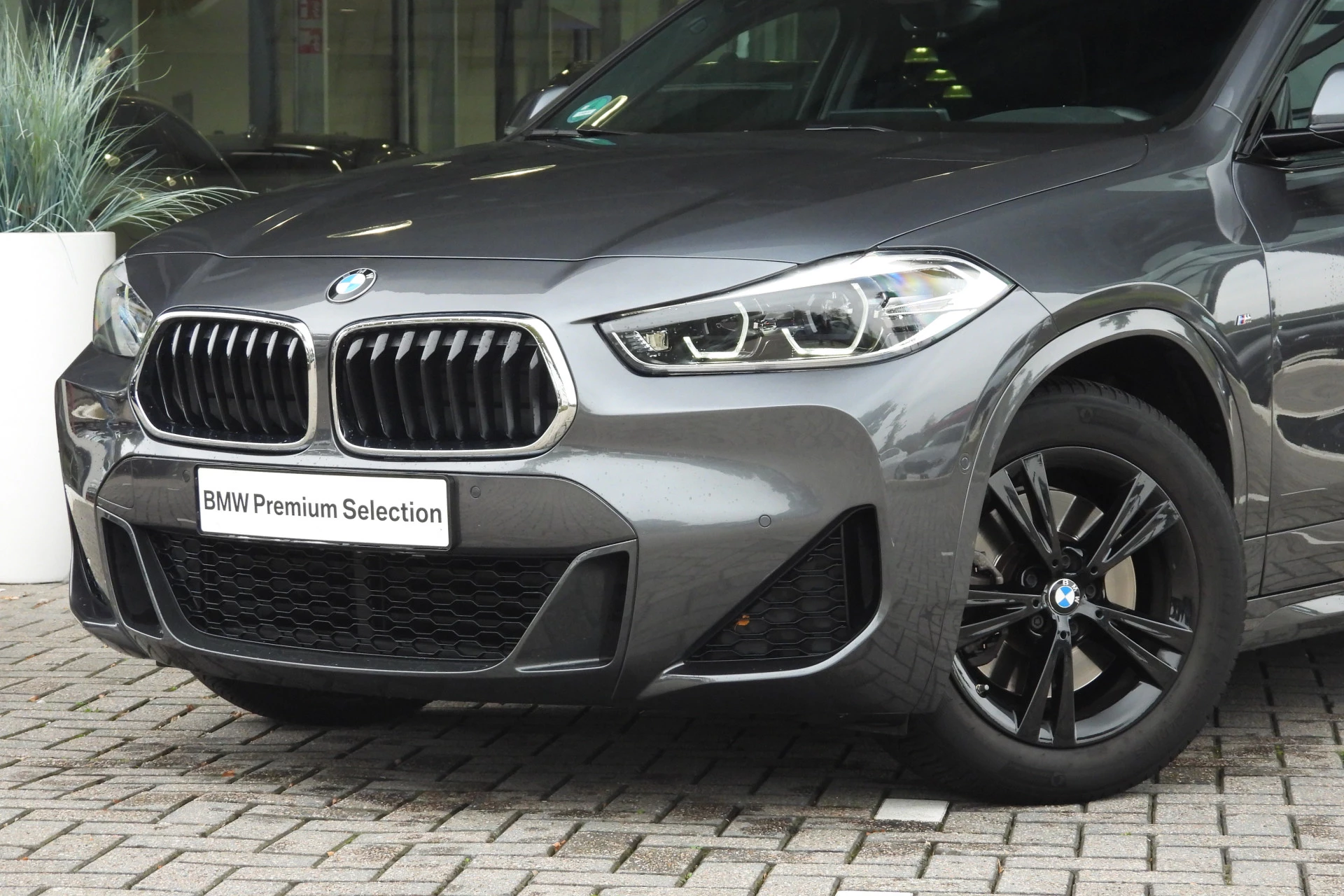 Hoofdafbeelding BMW X2