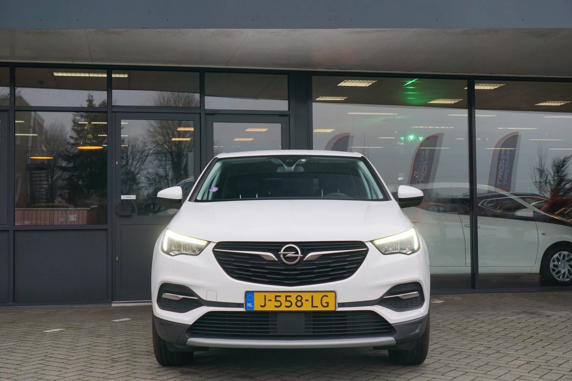 Hoofdafbeelding Opel Grandland X