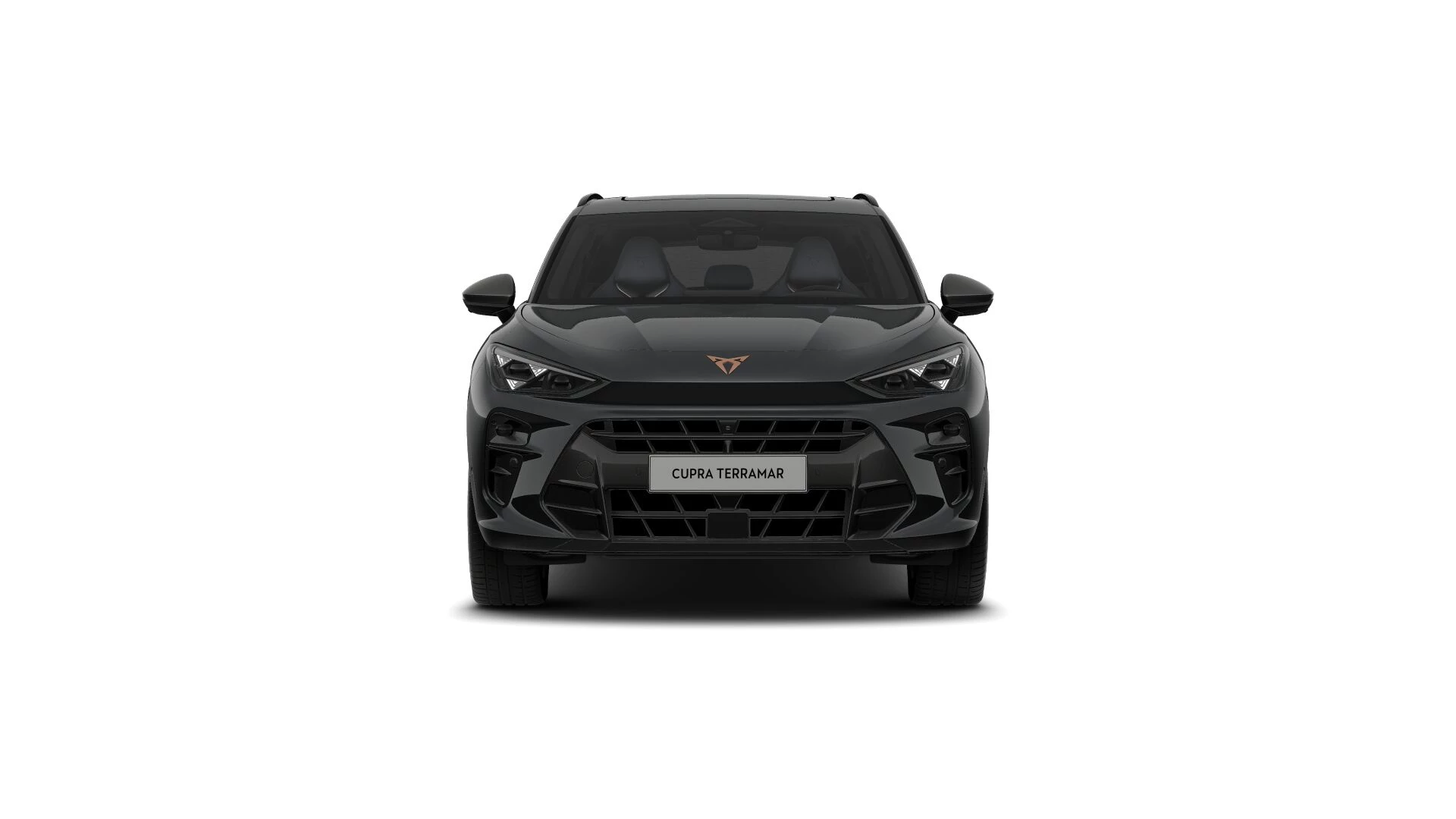 Hoofdafbeelding CUPRA Terramar