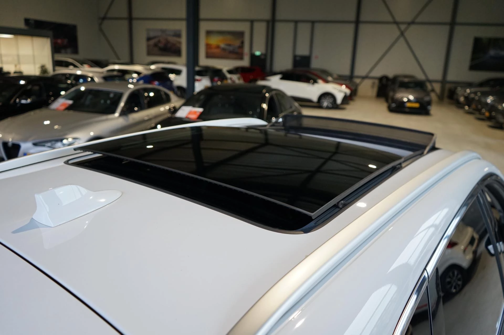 Hoofdafbeelding MG EHS