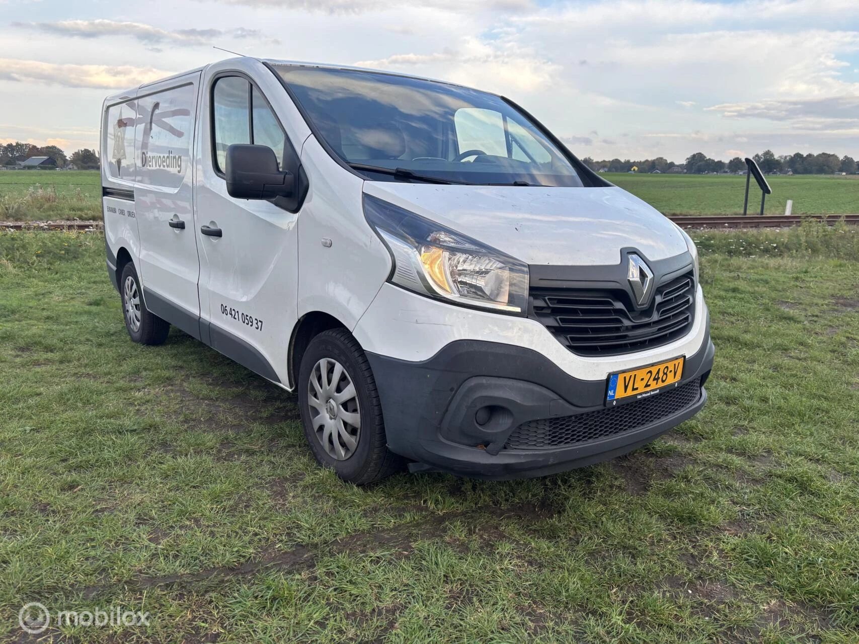 Hoofdafbeelding Renault Trafic