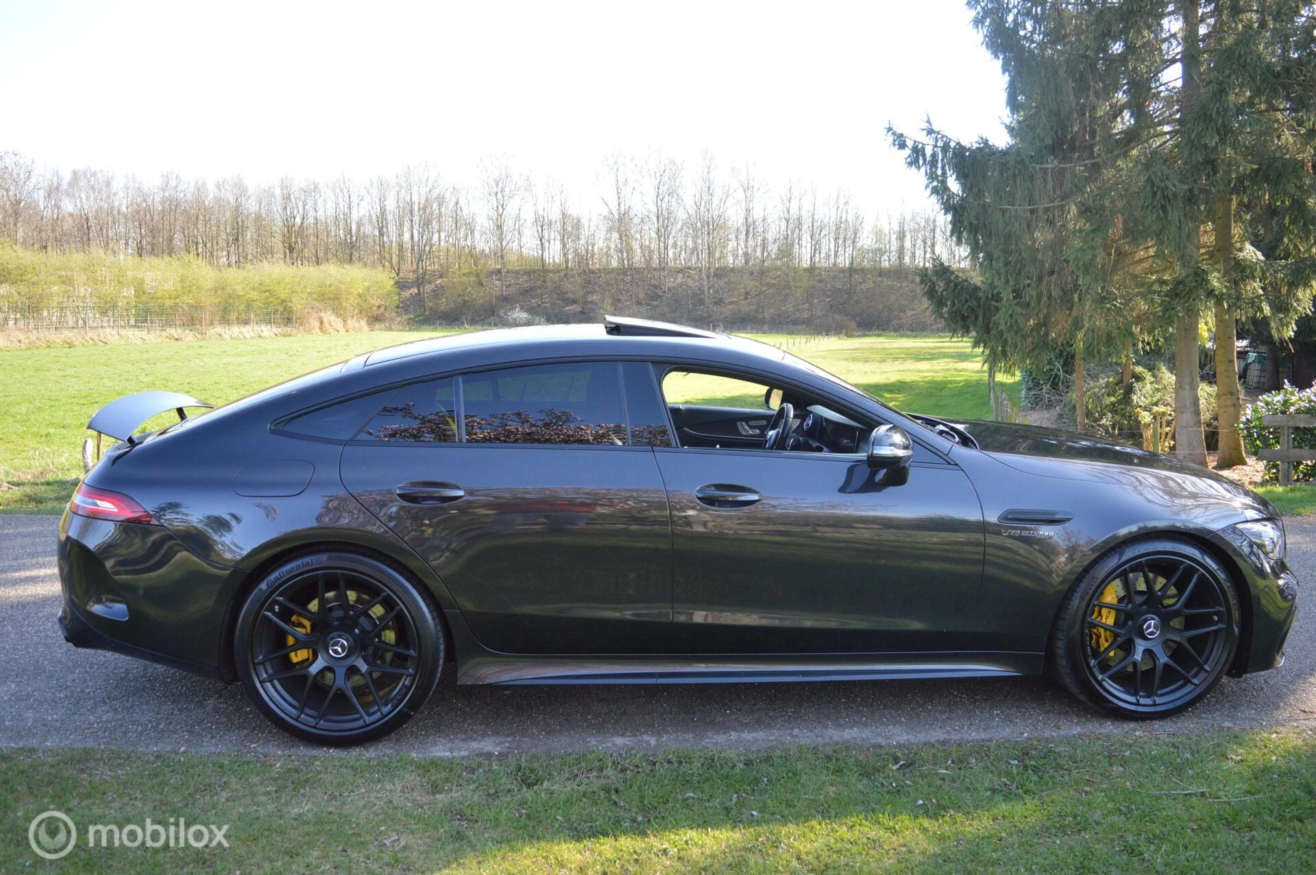 Hoofdafbeelding Mercedes-AMG GT