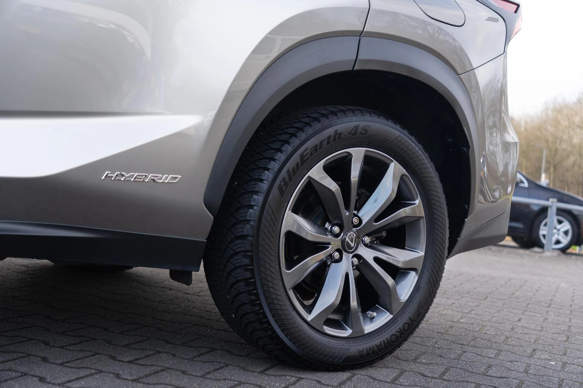 Hoofdafbeelding Lexus NX