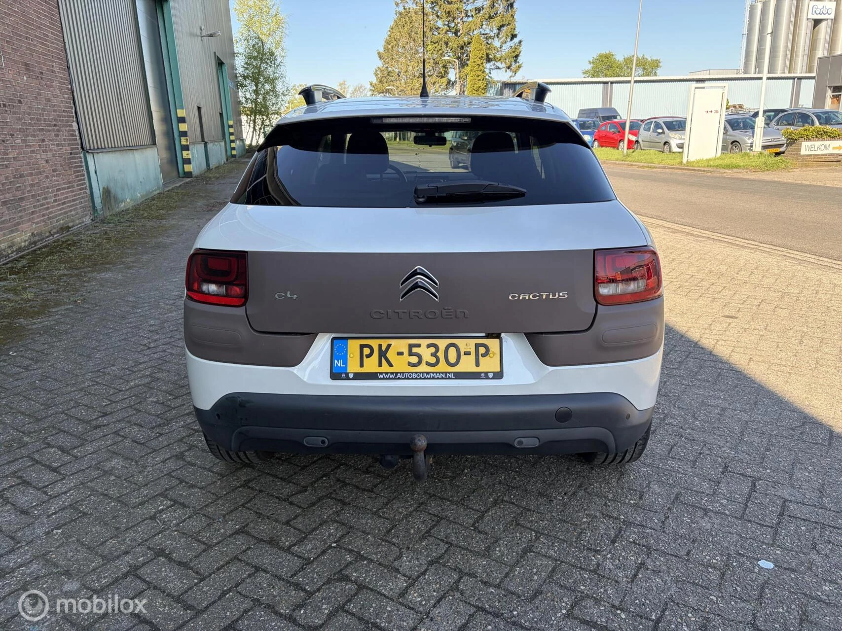 Hoofdafbeelding Citroën C4 Cactus