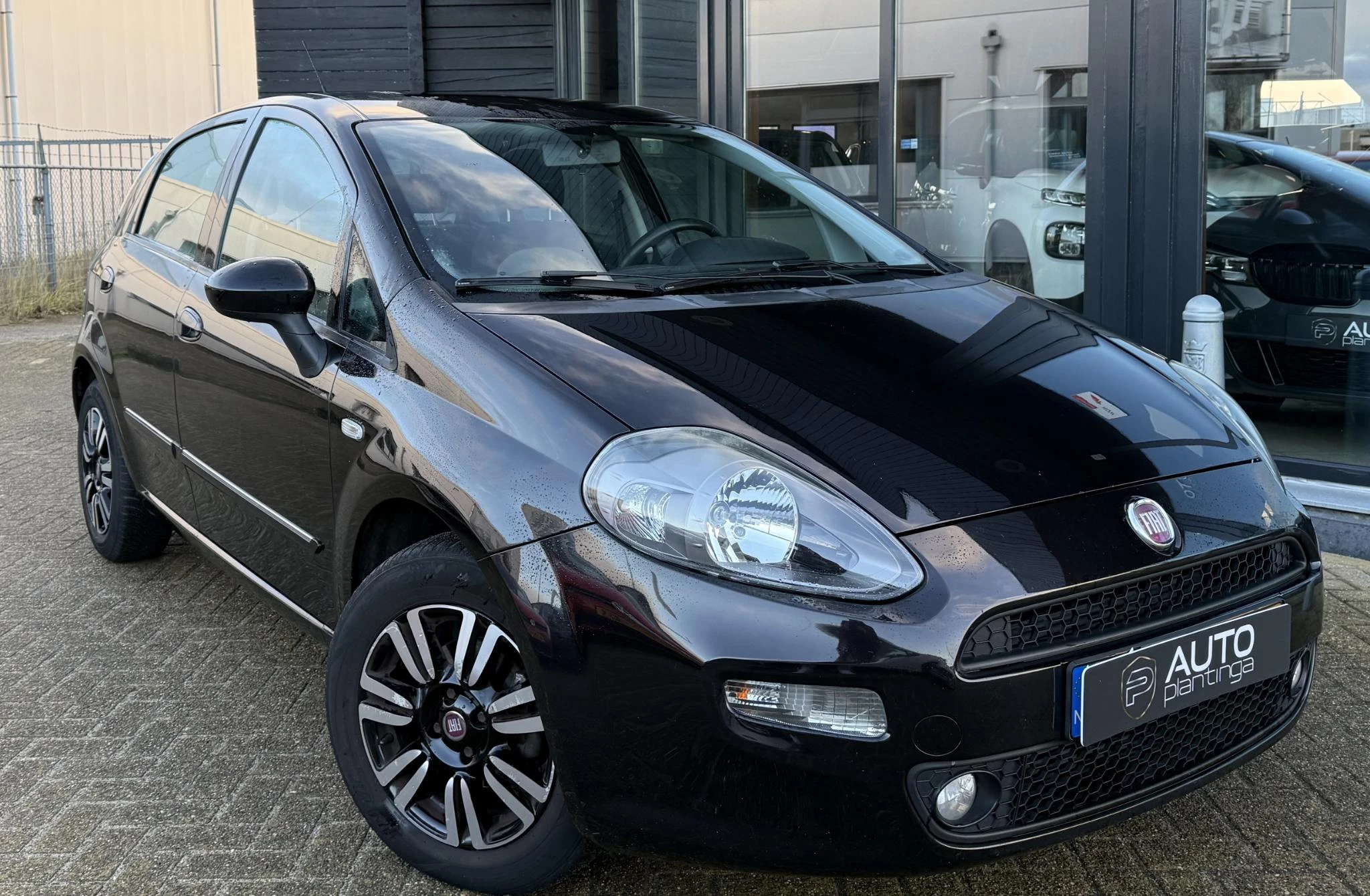 Hoofdafbeelding Fiat Punto