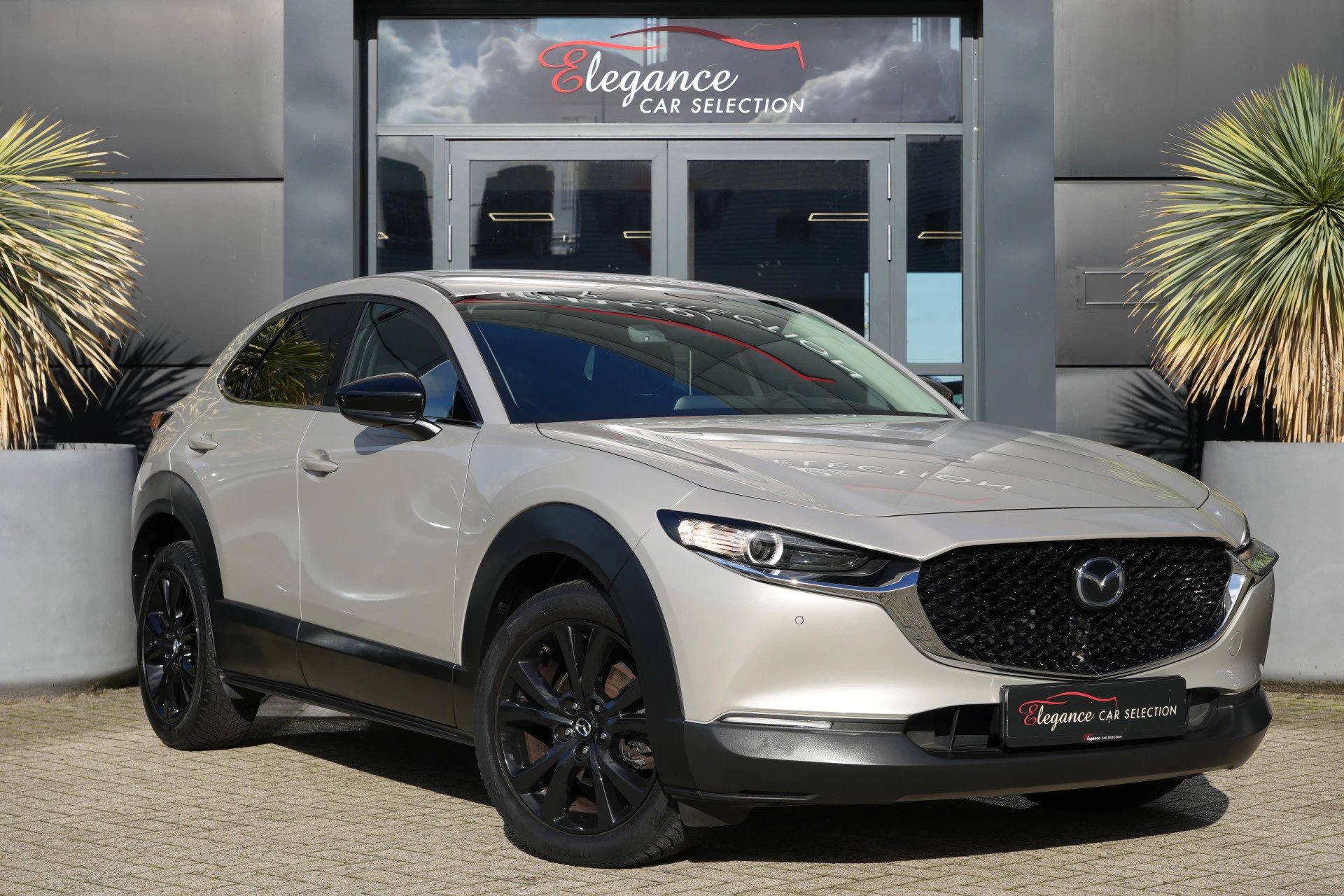 Hoofdafbeelding Mazda CX-30