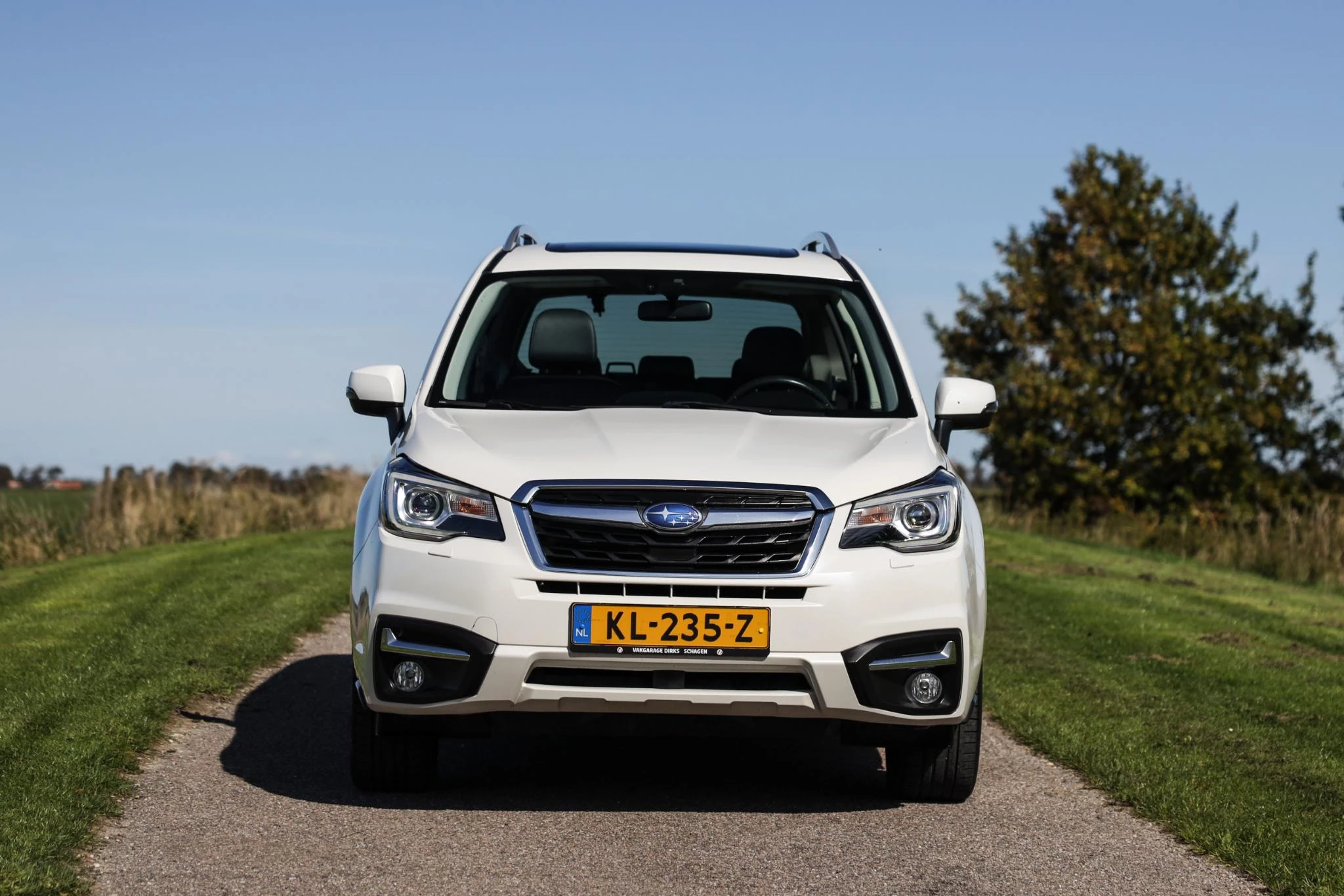 Hoofdafbeelding Subaru Forester