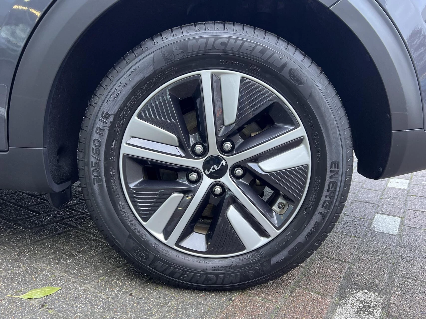 Hoofdafbeelding Kia Niro