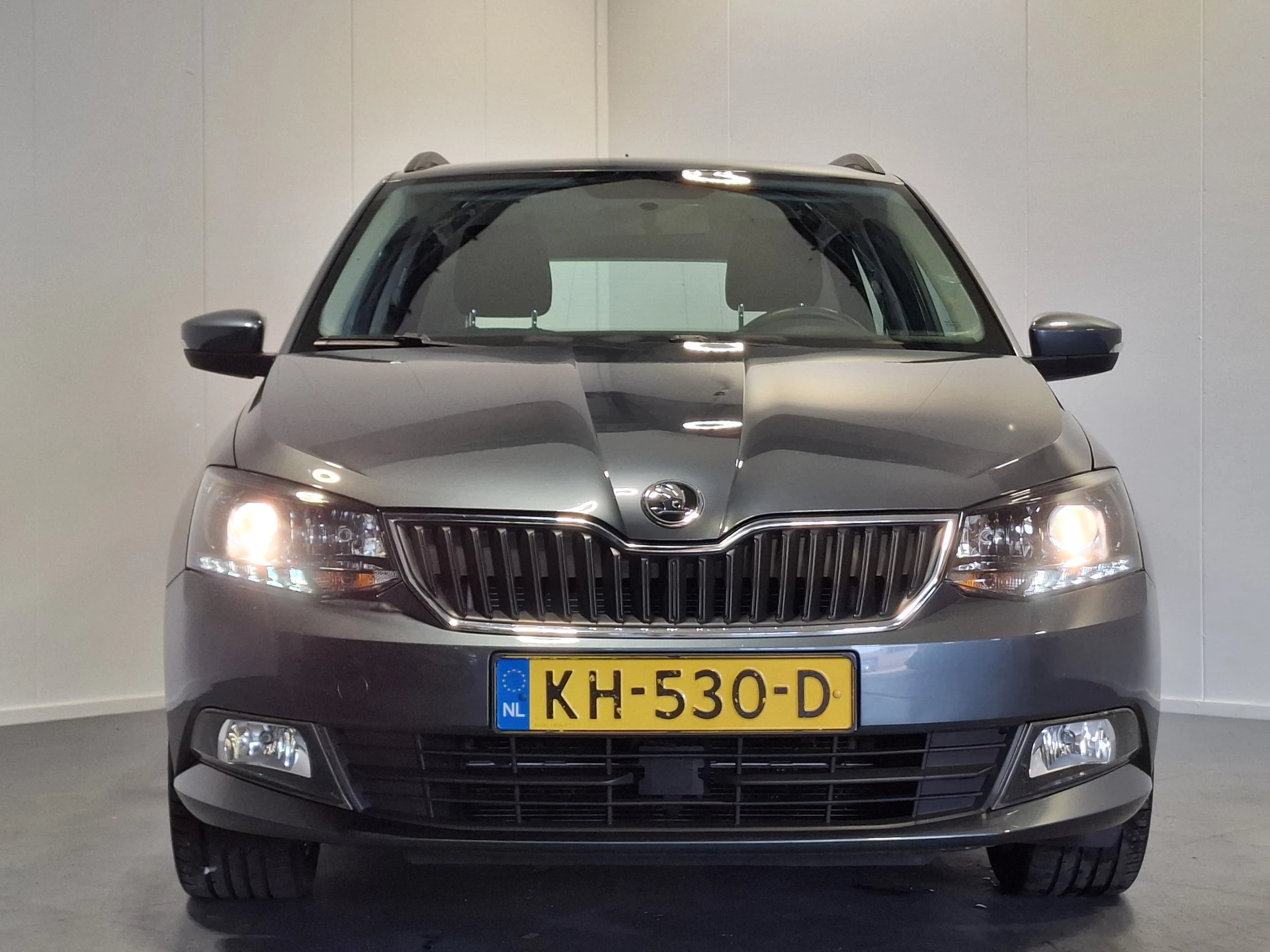 Hoofdafbeelding Škoda Fabia