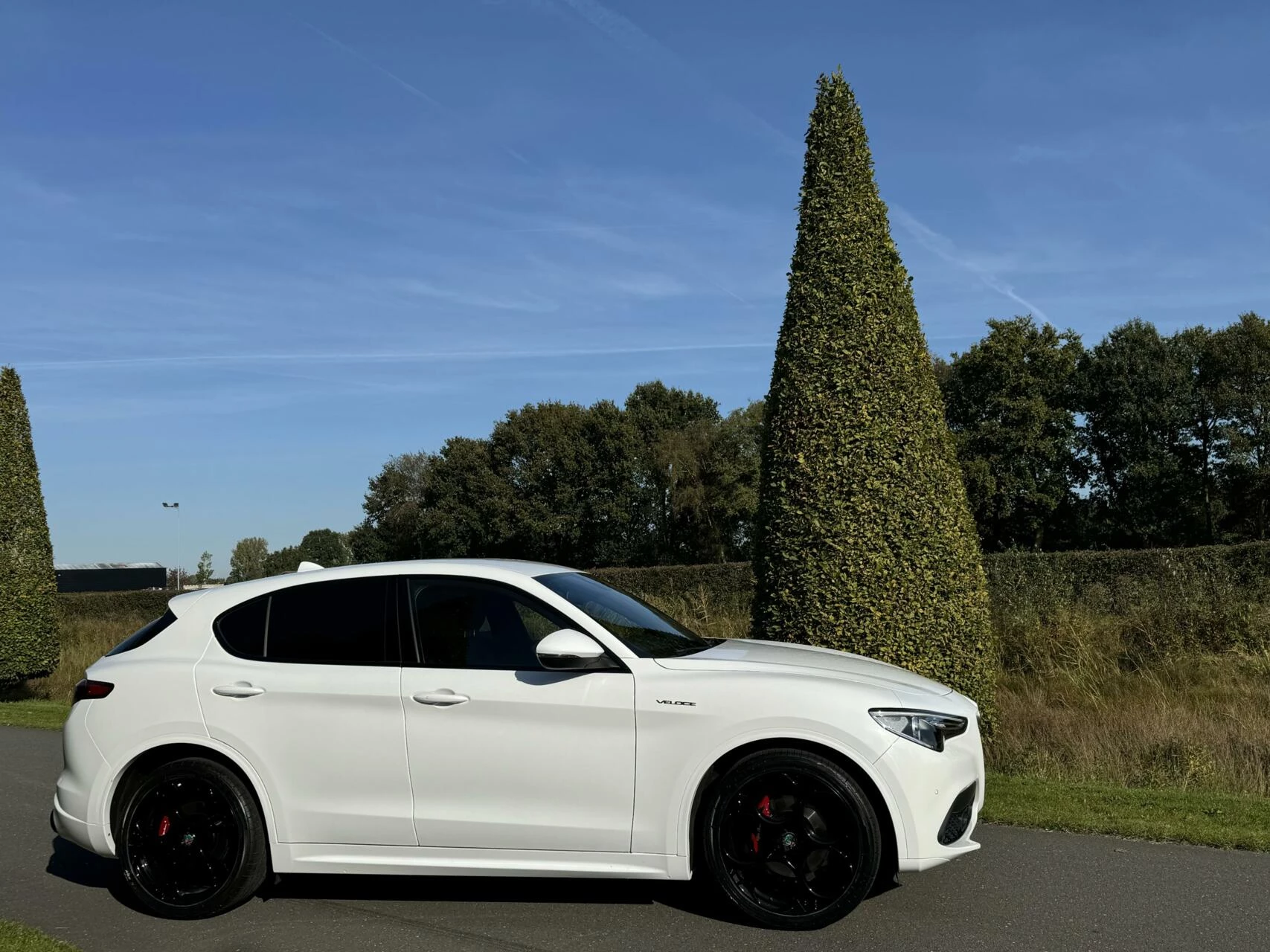 Hoofdafbeelding Alfa Romeo Stelvio