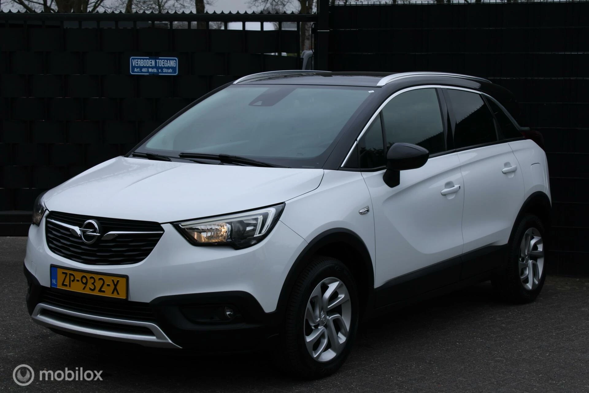 Hoofdafbeelding Opel Crossland X
