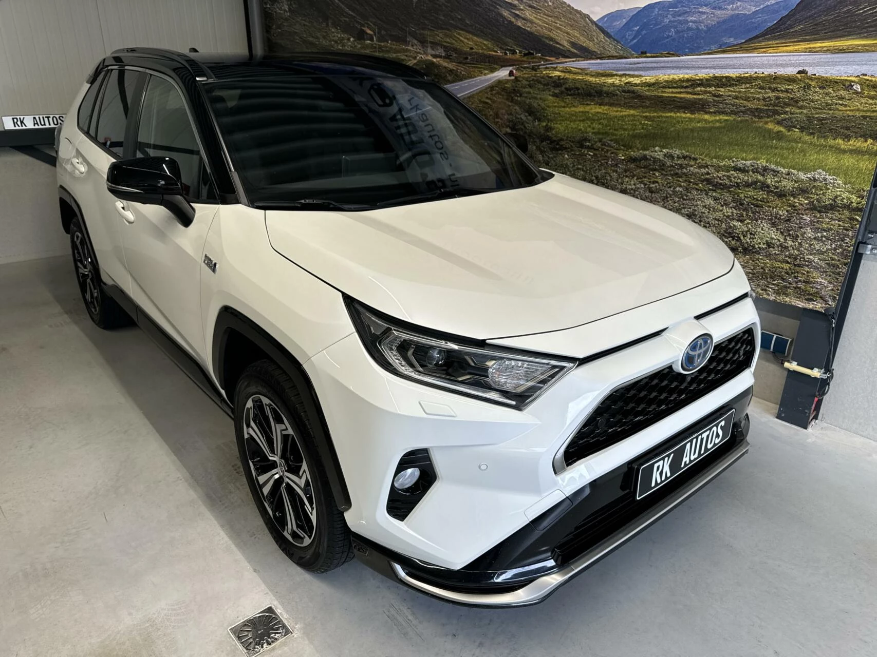 Hoofdafbeelding Toyota RAV4