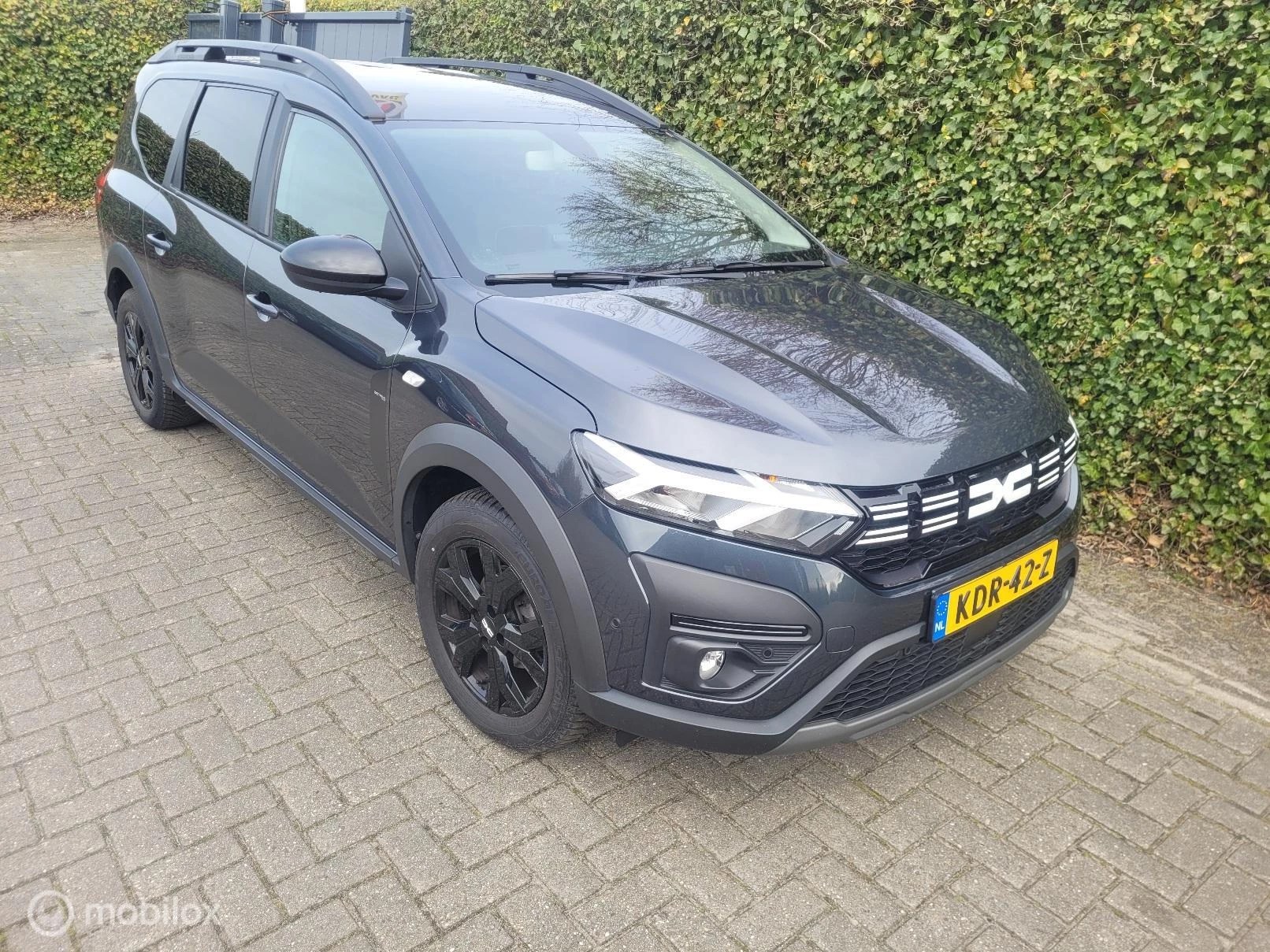 Hoofdafbeelding Dacia Jogger