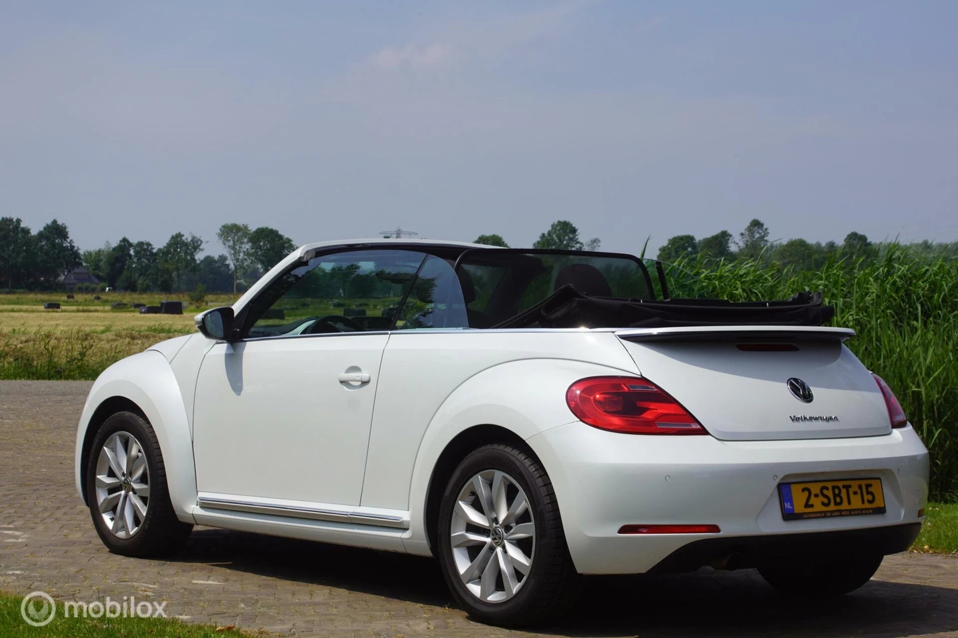 Hoofdafbeelding Volkswagen Beetle