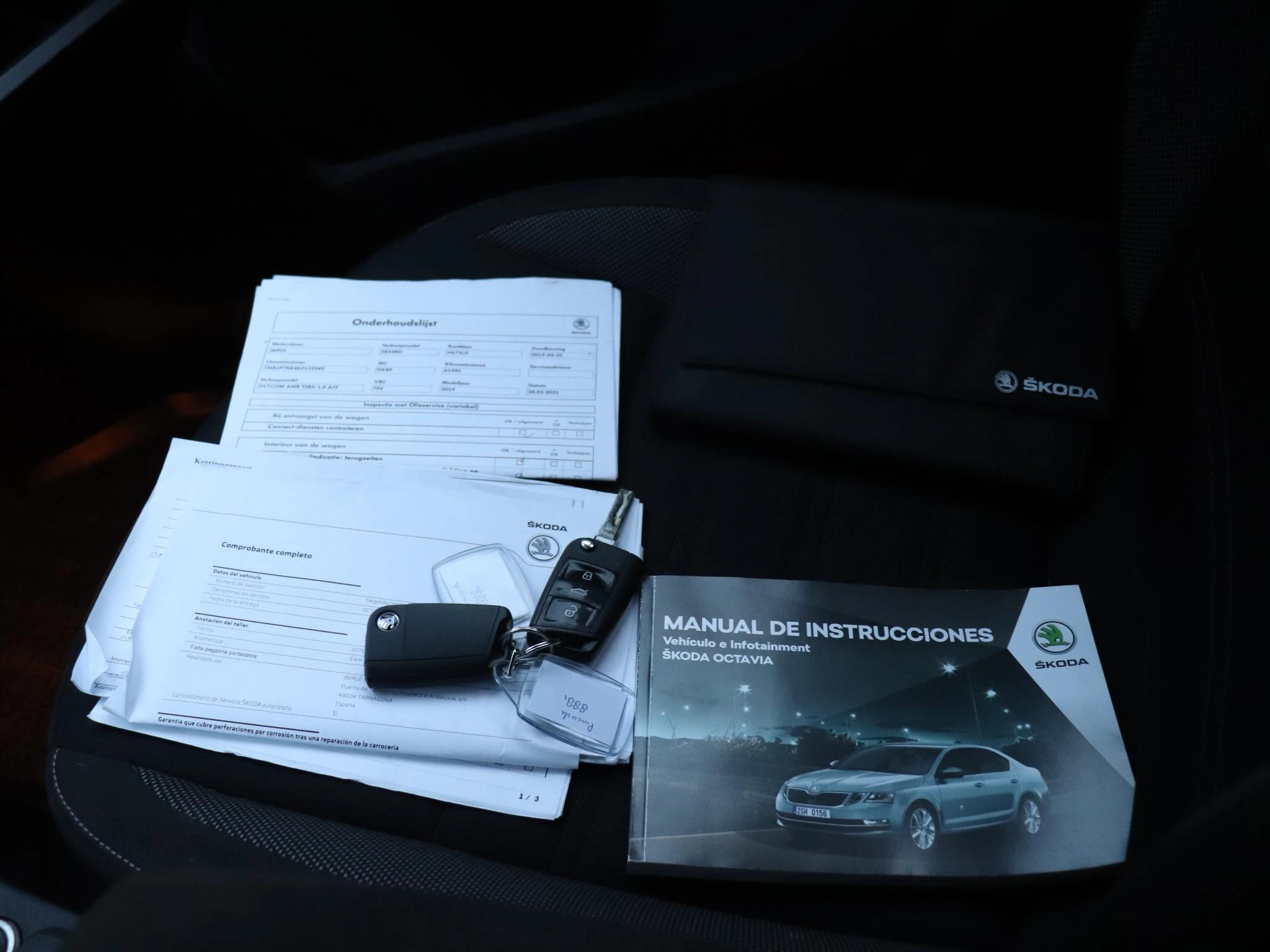 Hoofdafbeelding Škoda Octavia