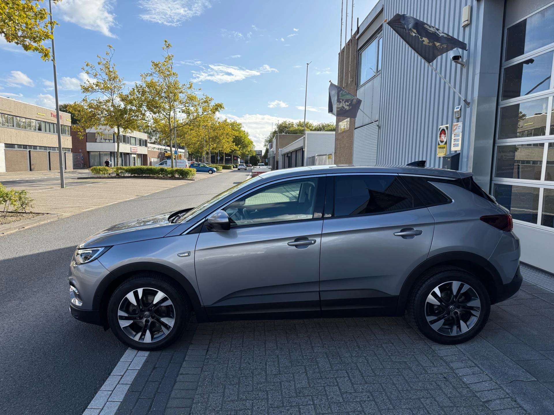 Hoofdafbeelding Opel Grandland X