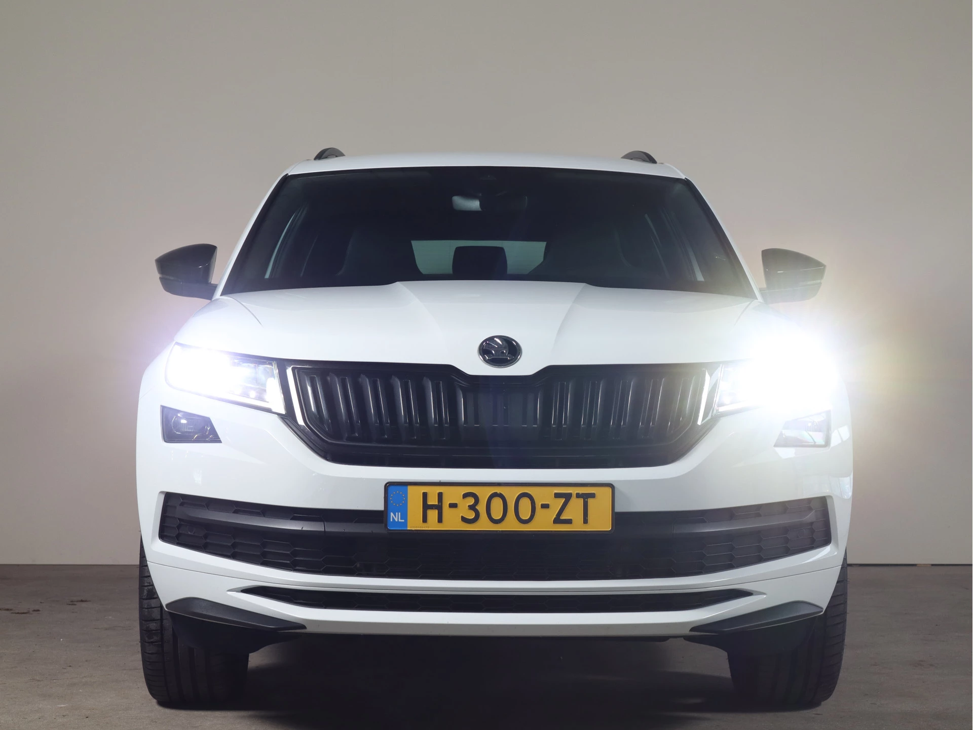 Hoofdafbeelding Škoda Kodiaq