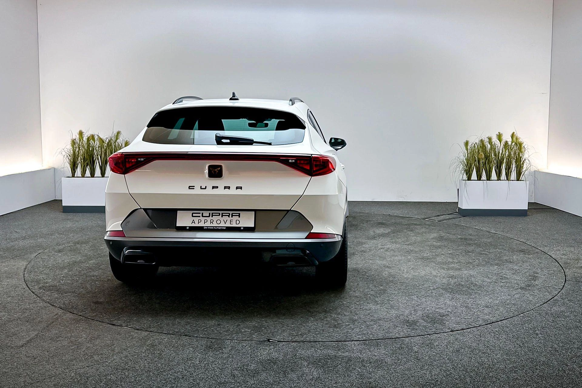 Hoofdafbeelding CUPRA Formentor