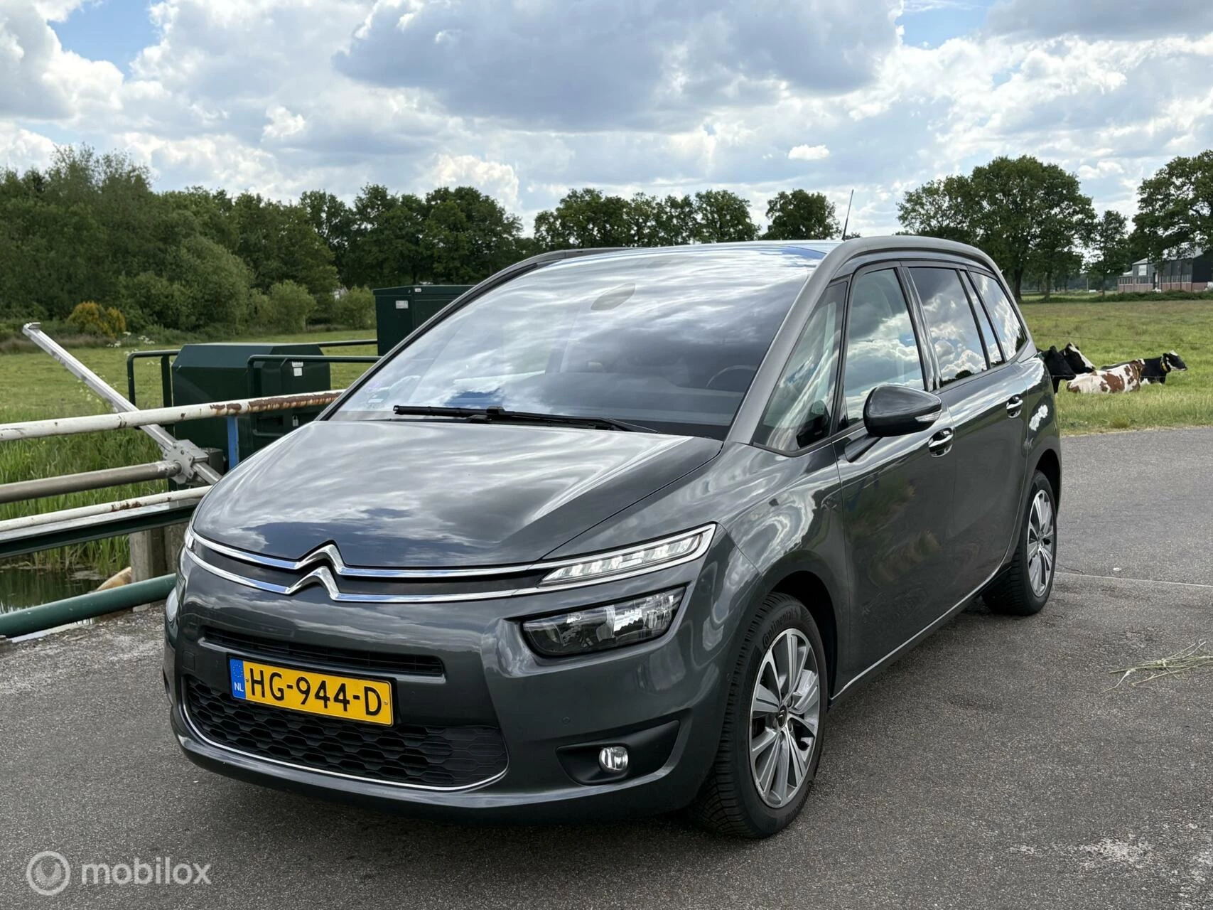 Hoofdafbeelding Citroën Grand C4 Picasso