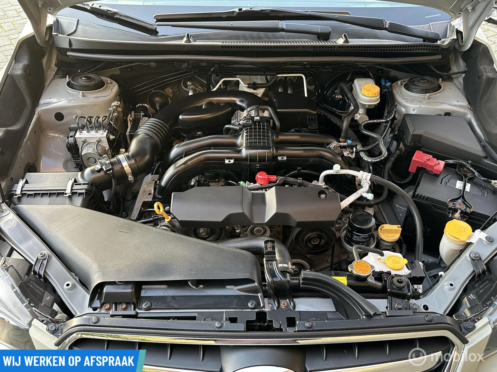 Hoofdafbeelding Subaru XV