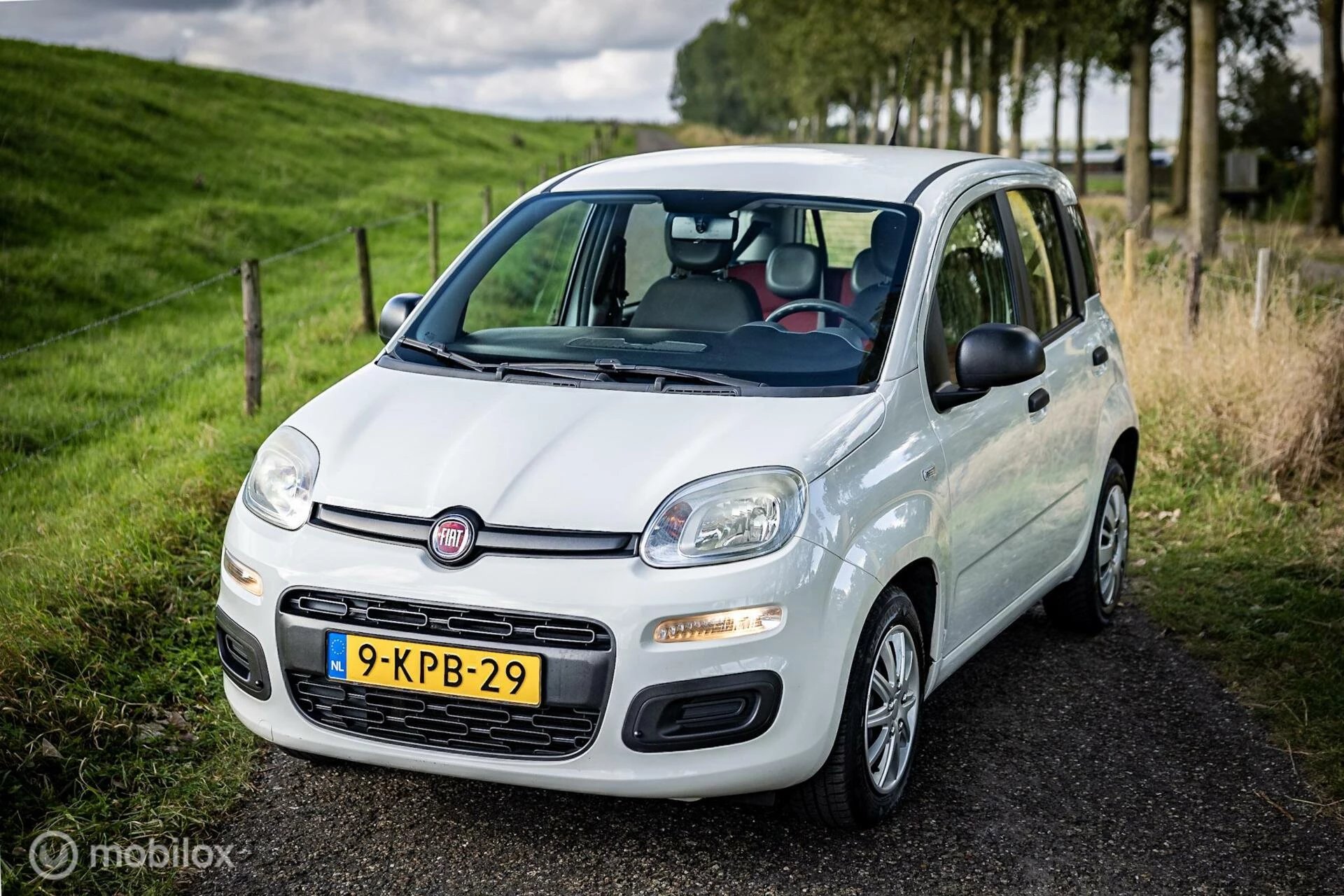 Hoofdafbeelding Fiat Panda