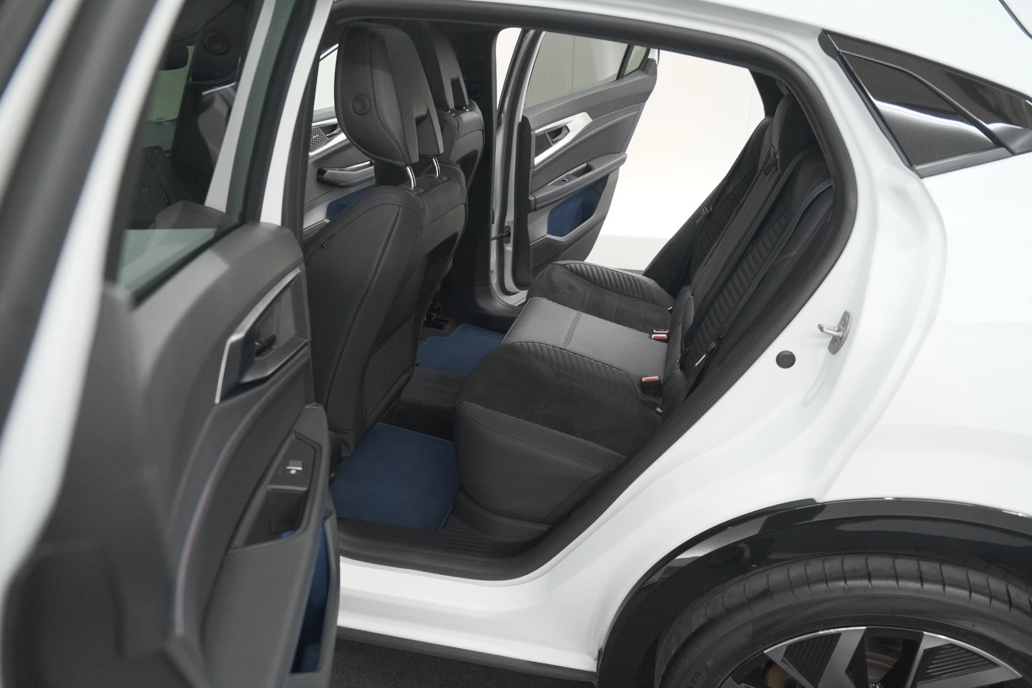 Hoofdafbeelding Renault Rafale