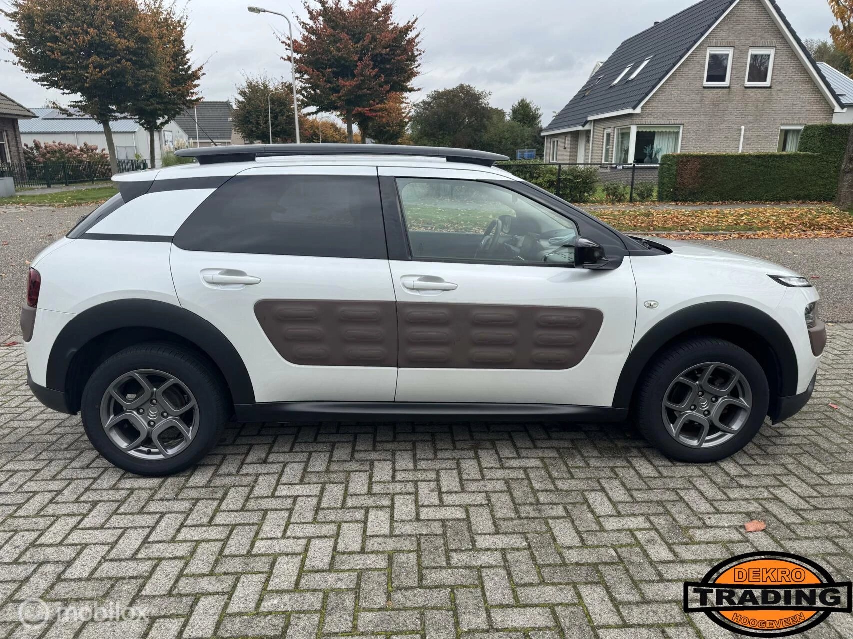 Hoofdafbeelding Citroën C4 Cactus