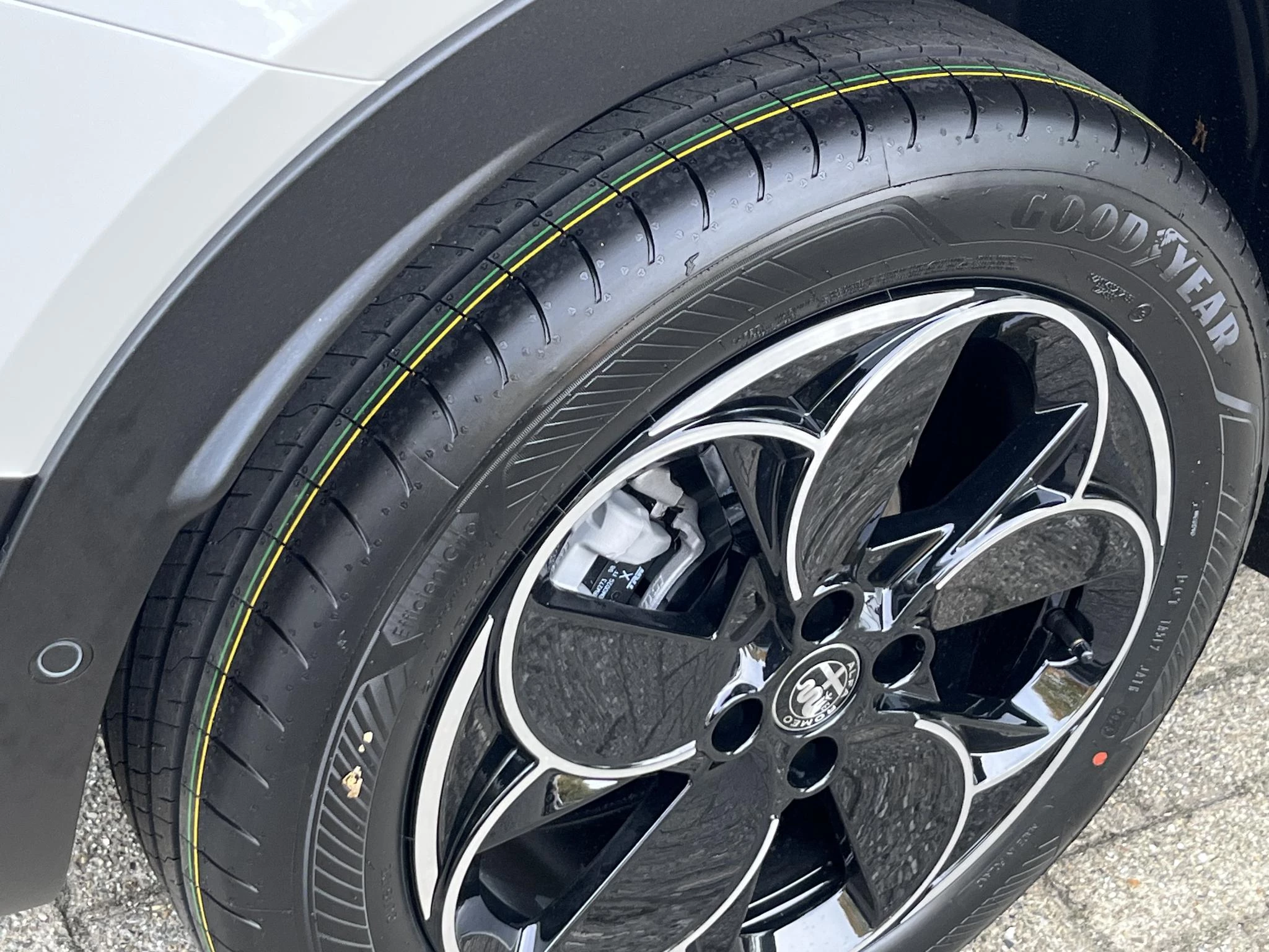 Hoofdafbeelding Alfa Romeo Junior