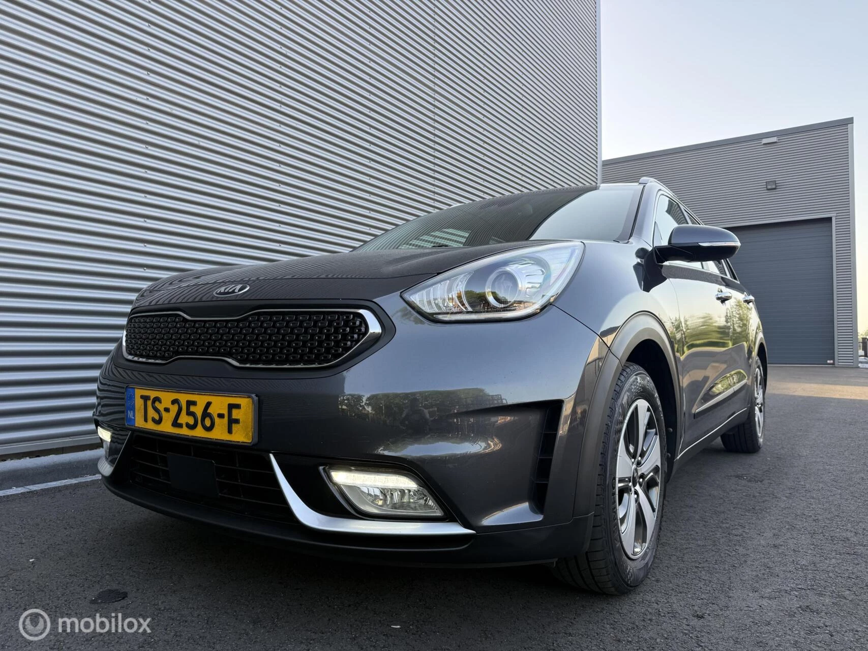 Hoofdafbeelding Kia Niro