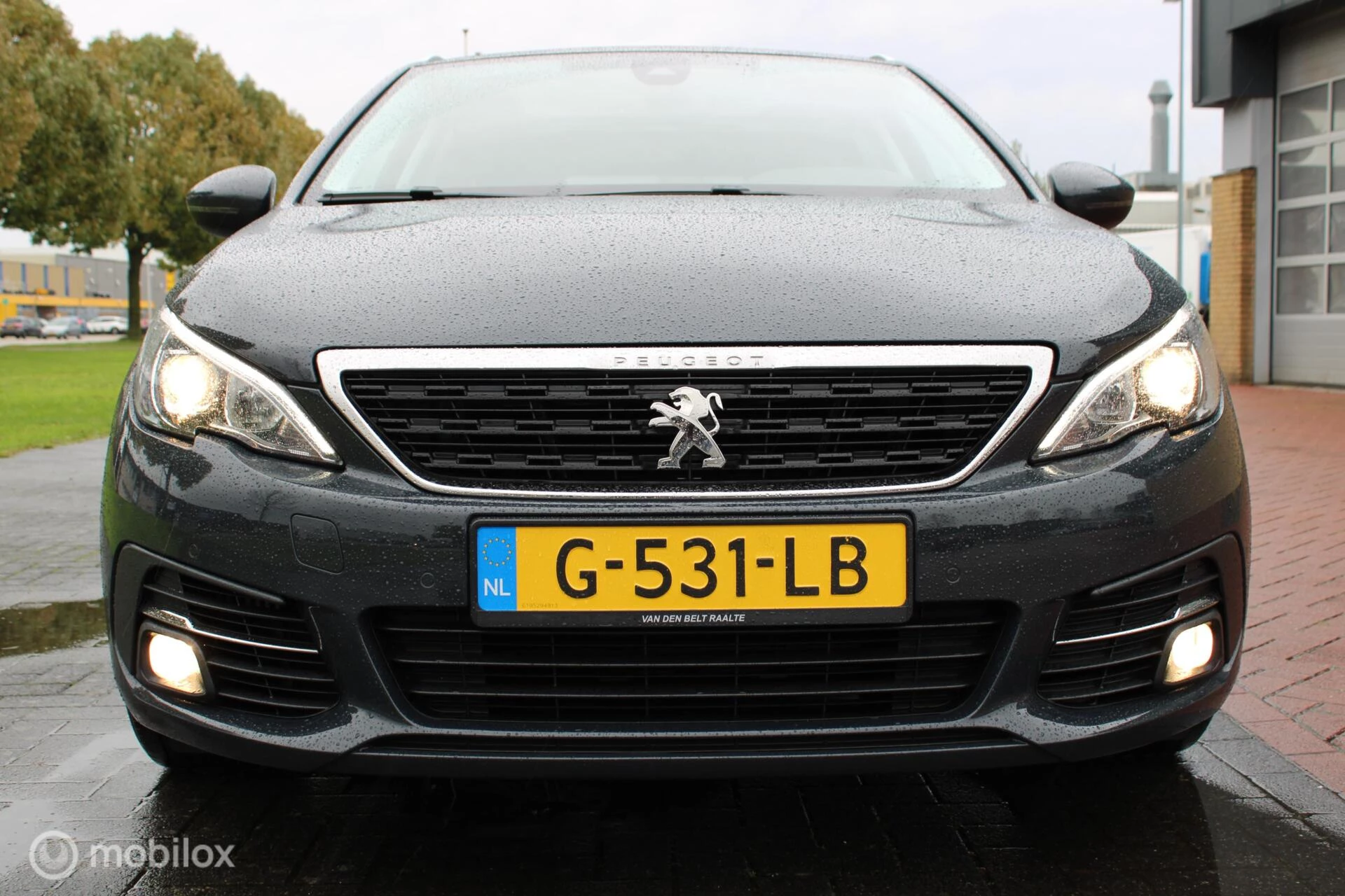 Hoofdafbeelding Peugeot 308
