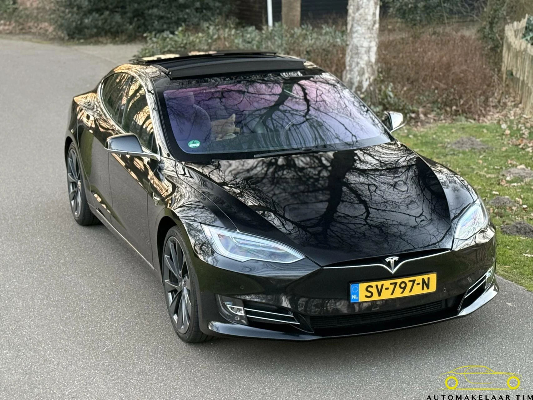 Hoofdafbeelding Tesla Model S