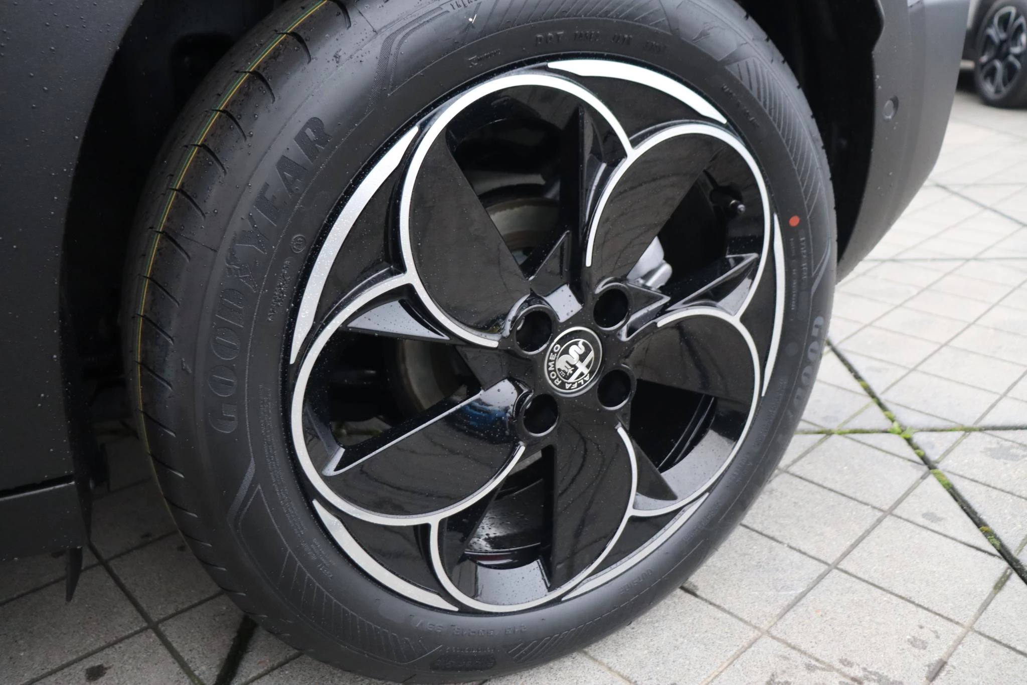 Hoofdafbeelding Alfa Romeo Junior