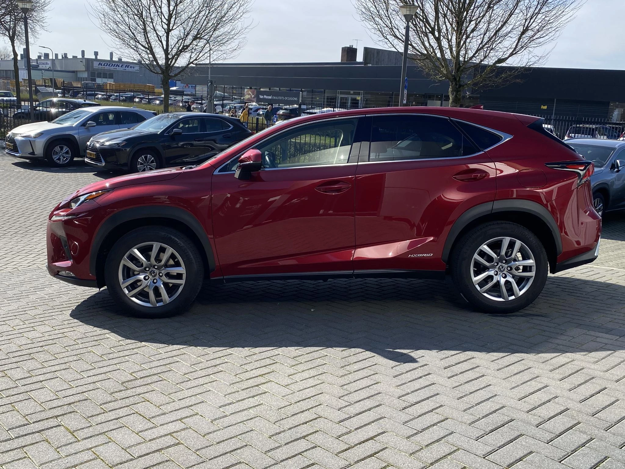 Hoofdafbeelding Lexus NX
