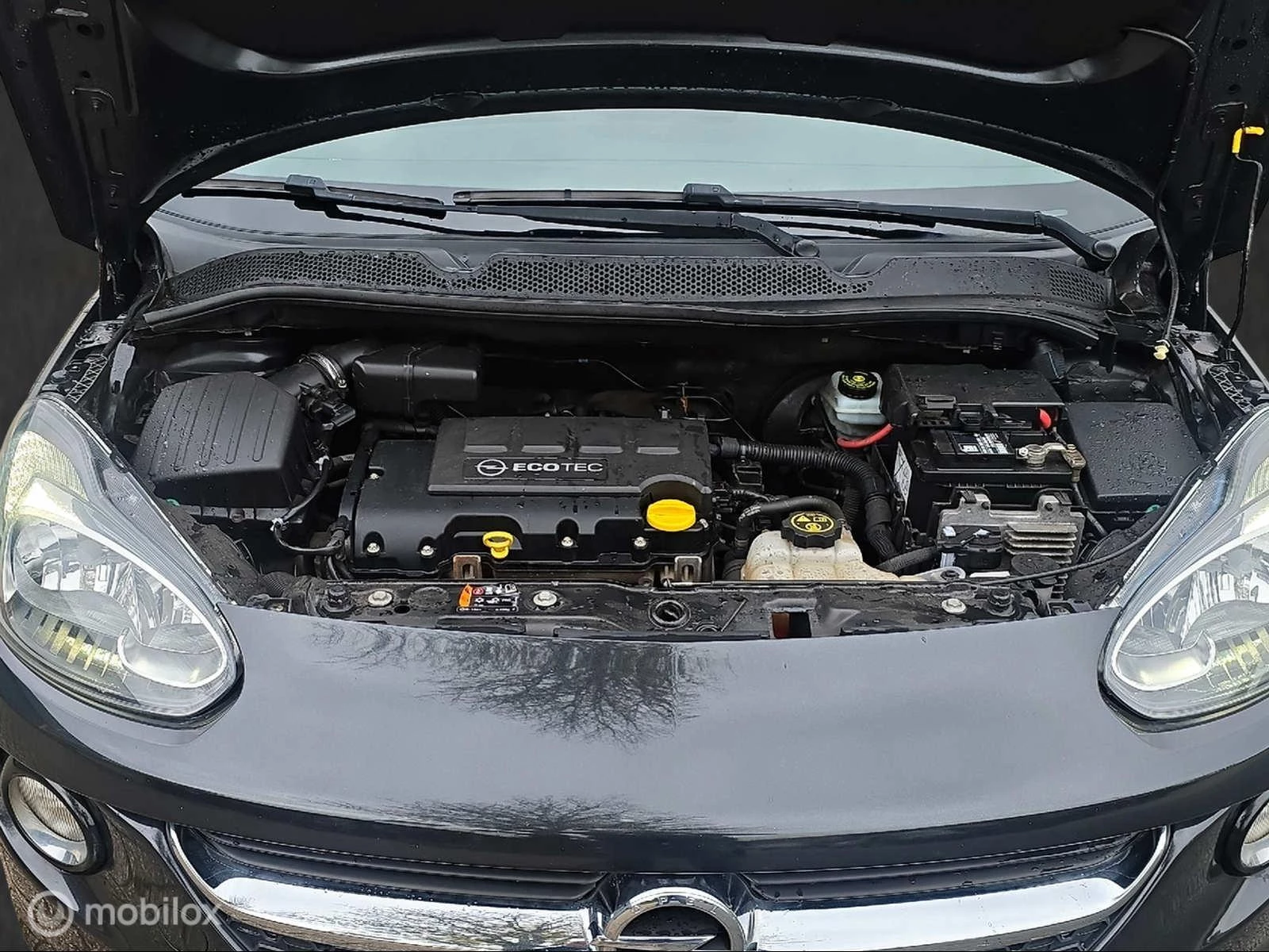 Hoofdafbeelding Opel ADAM