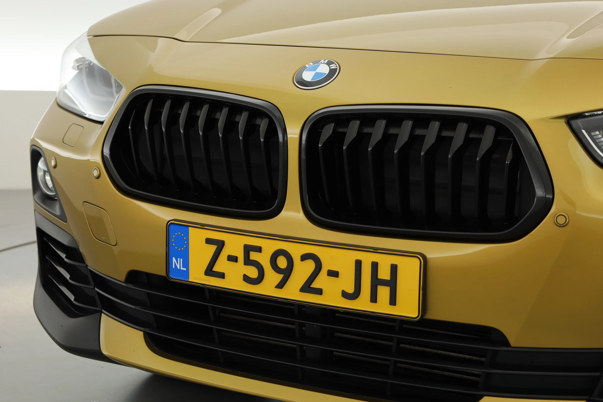 Hoofdafbeelding BMW X2