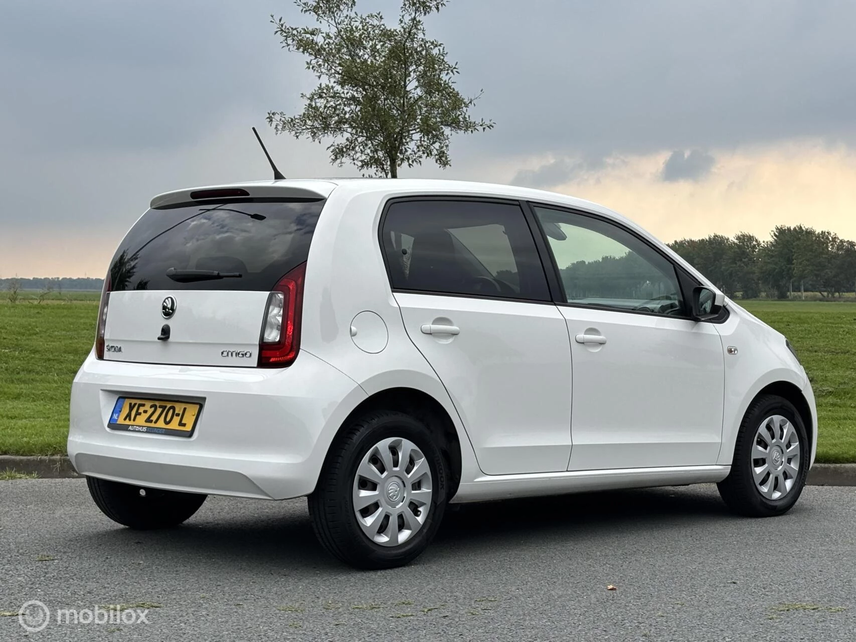 Hoofdafbeelding Škoda Citigo