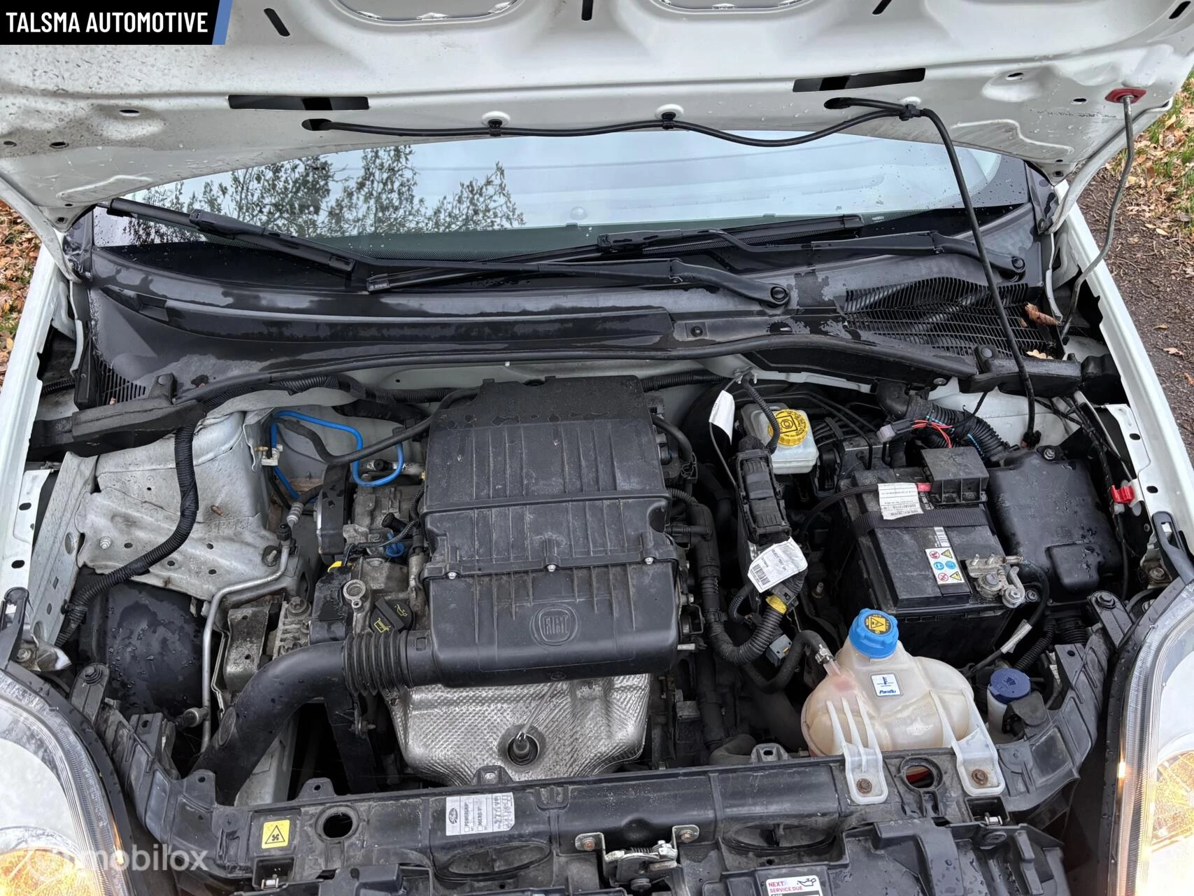 Hoofdafbeelding Fiat Punto