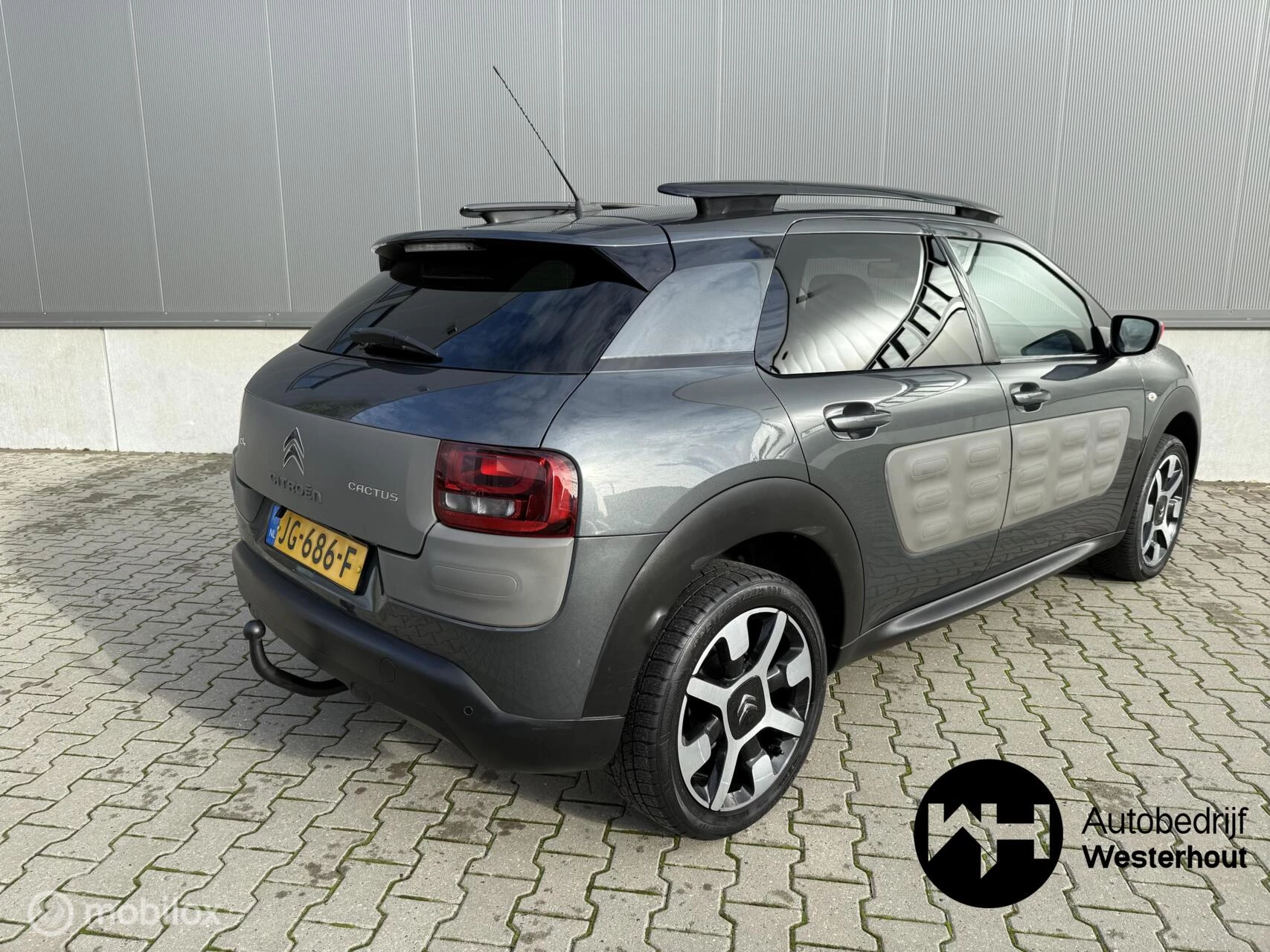 Hoofdafbeelding Citroën C4 Cactus