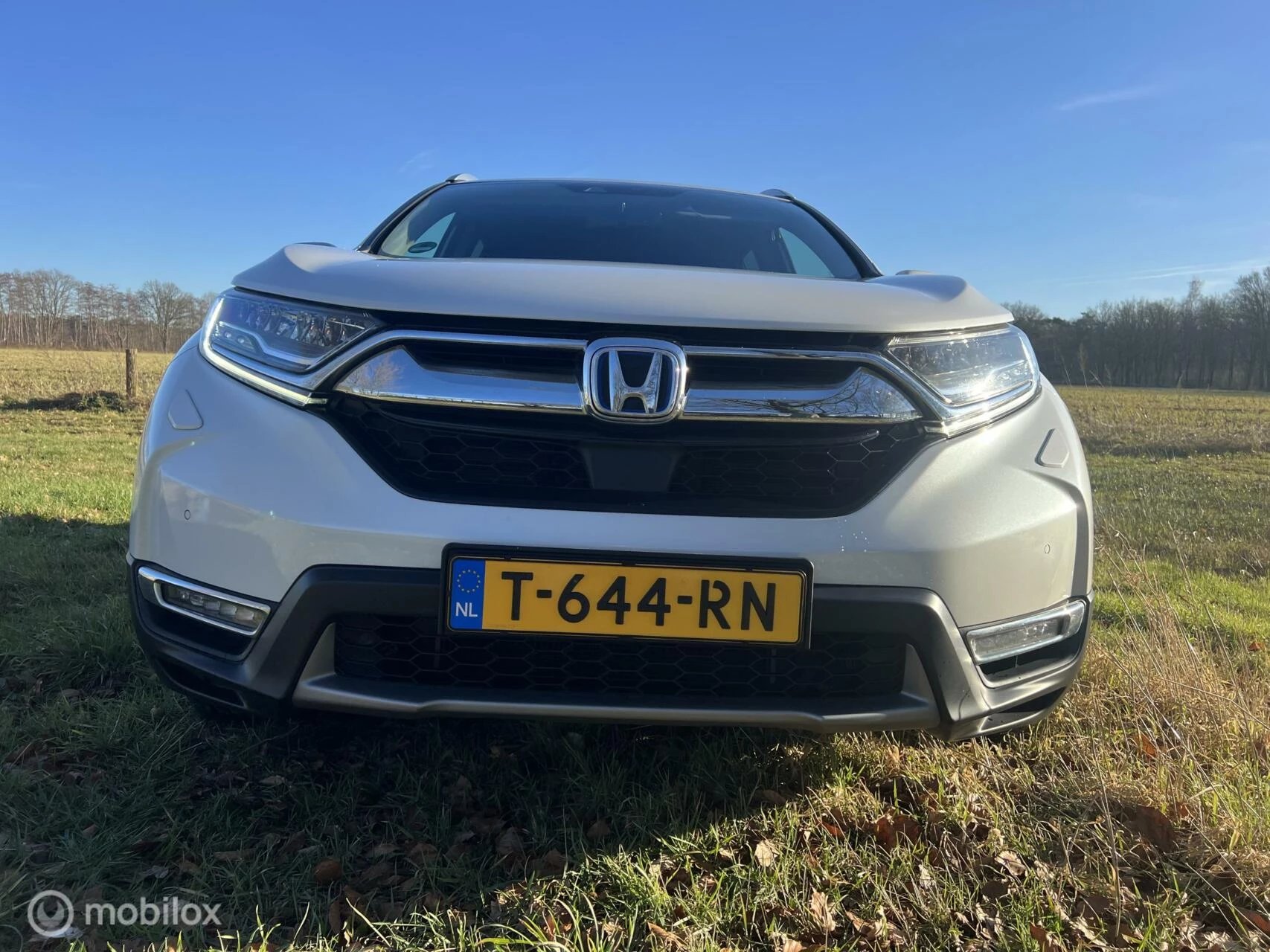 Hoofdafbeelding Honda CR-V