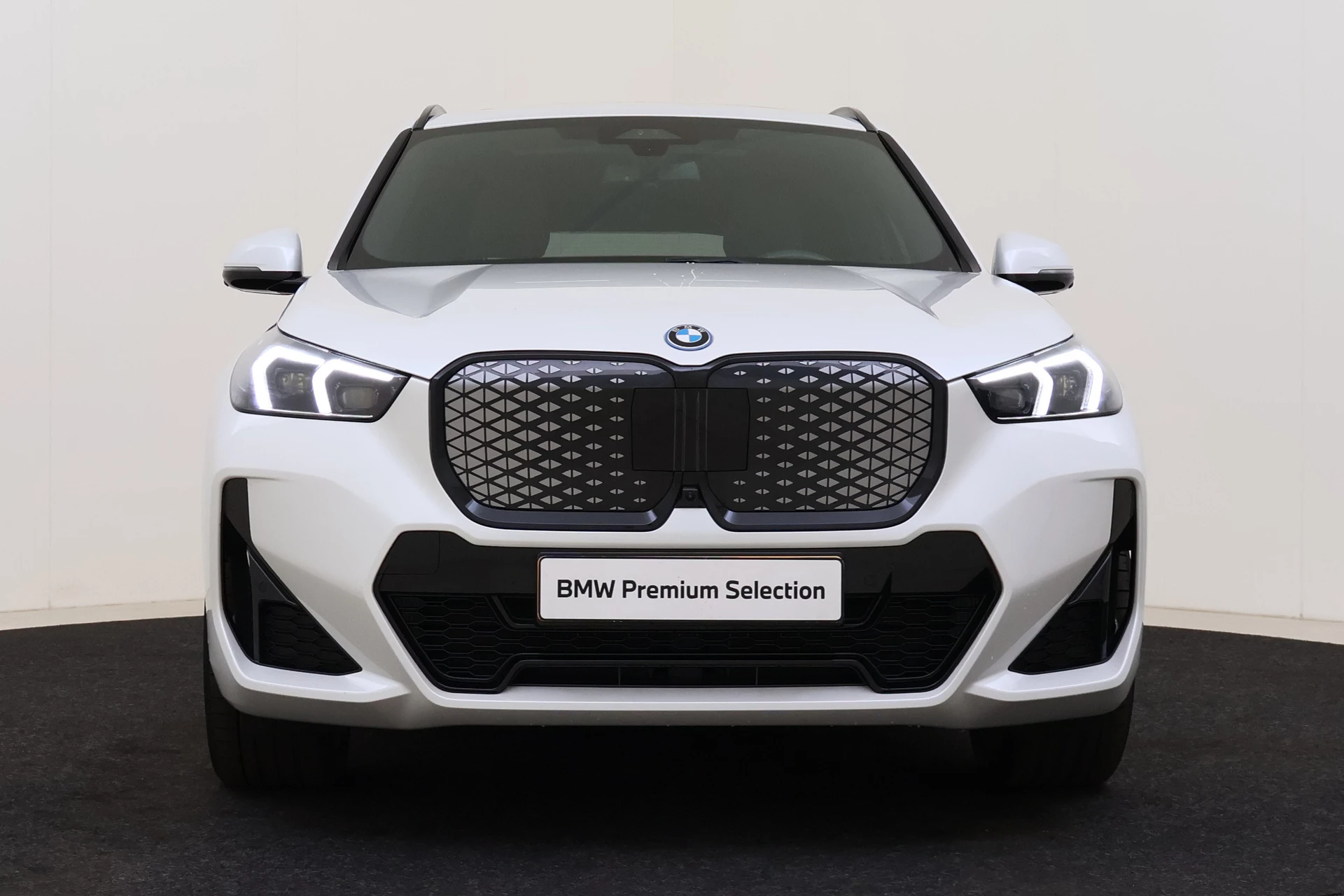 Hoofdafbeelding BMW iX1