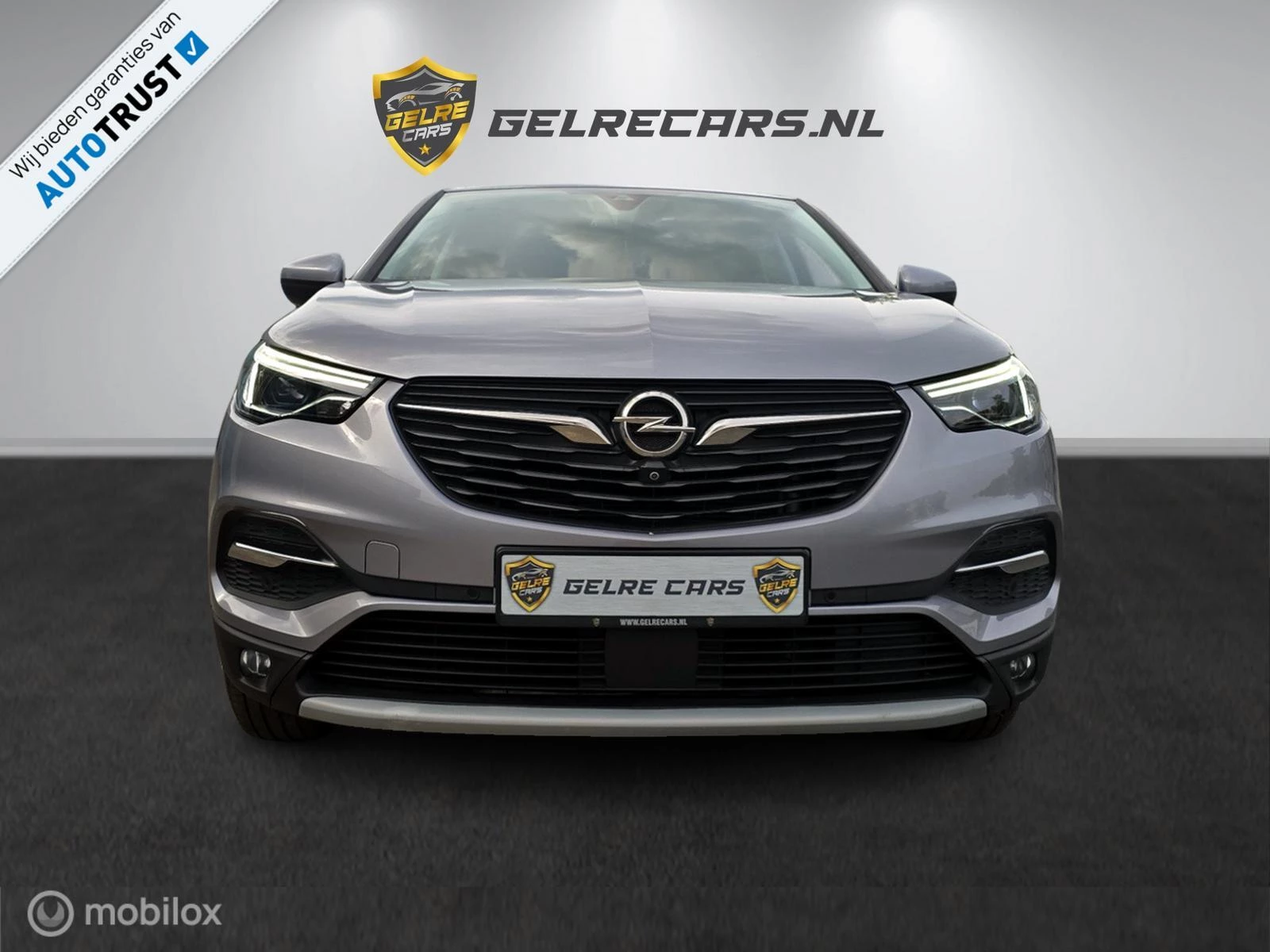 Hoofdafbeelding Opel Grandland X
