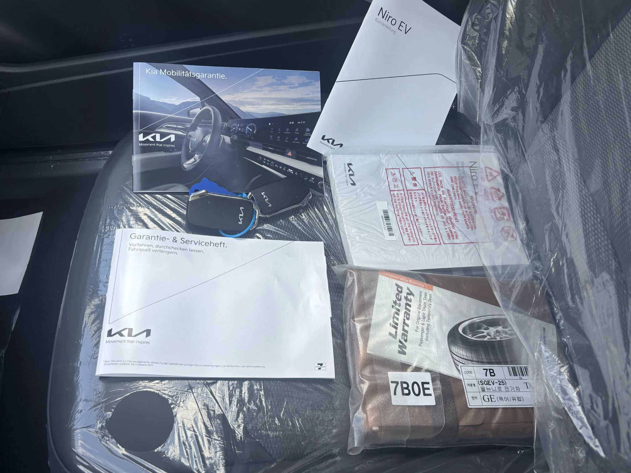 Hoofdafbeelding Kia Niro EV