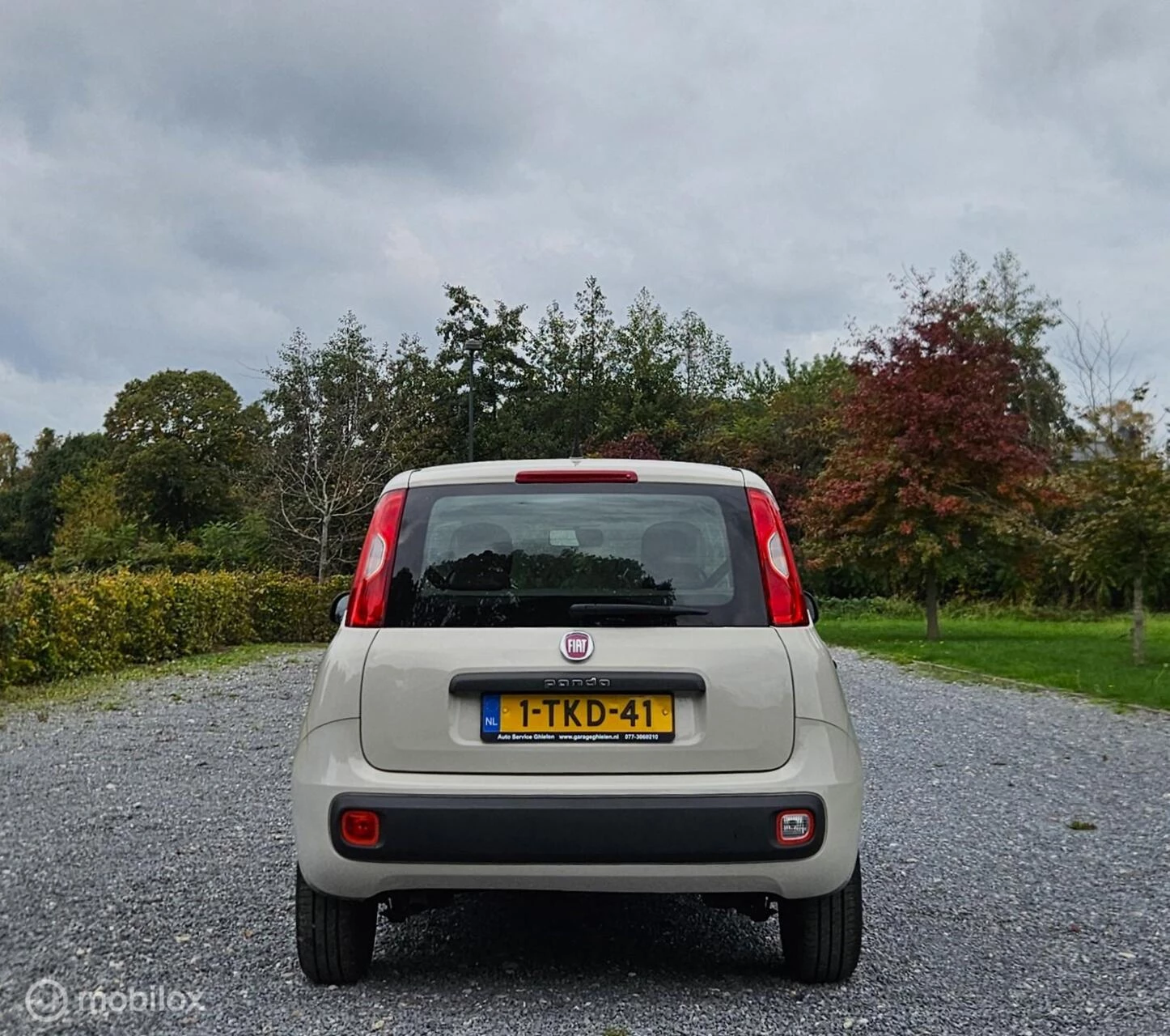 Hoofdafbeelding Fiat Panda