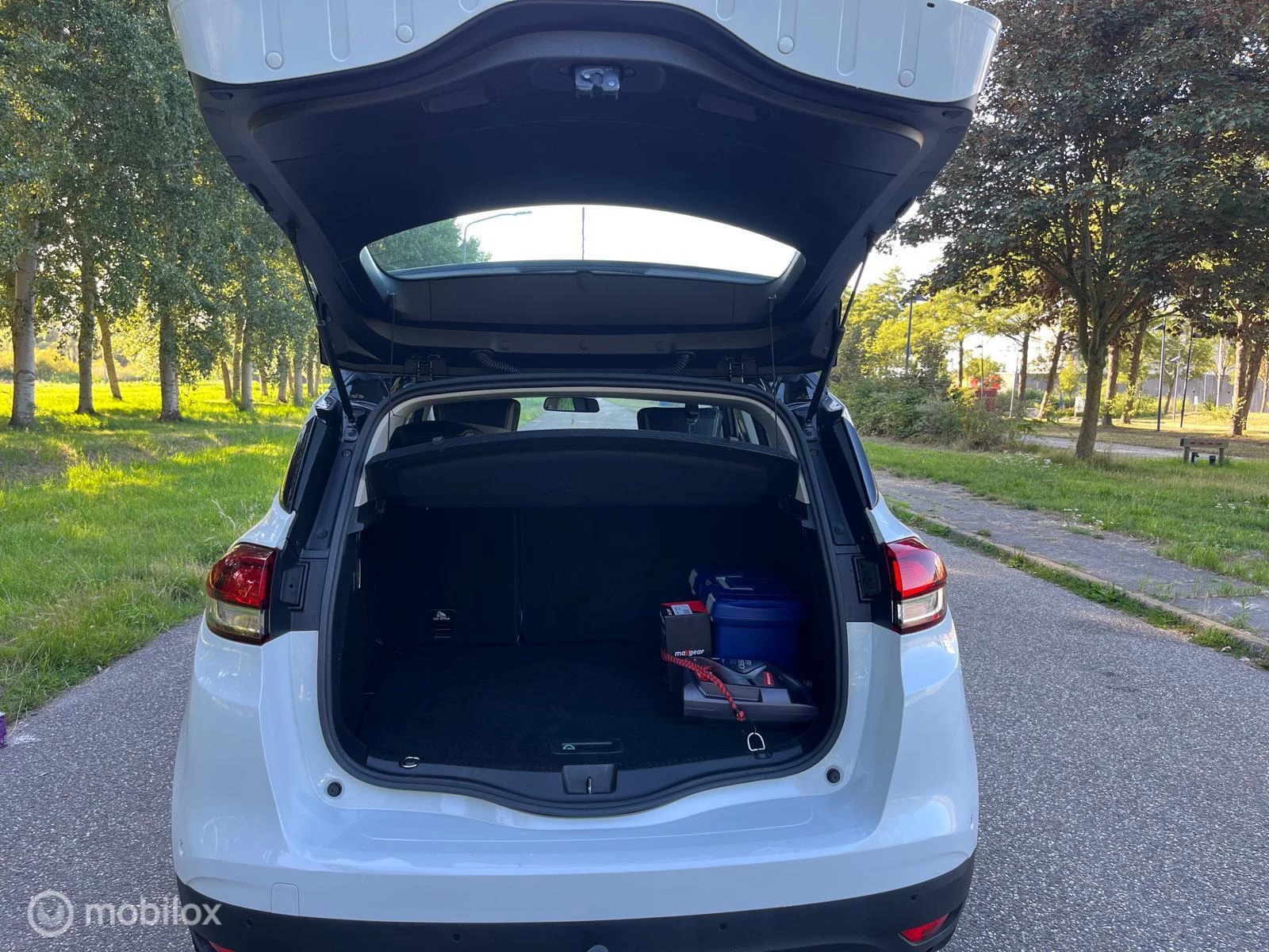 Hoofdafbeelding Renault Scénic