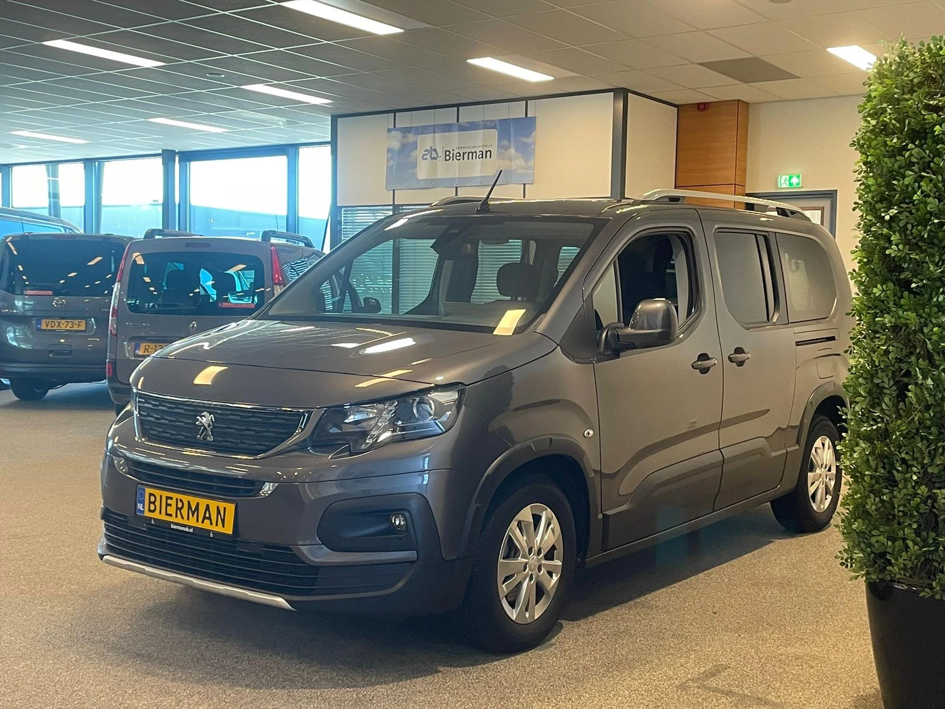 Hoofdafbeelding Peugeot Rifter